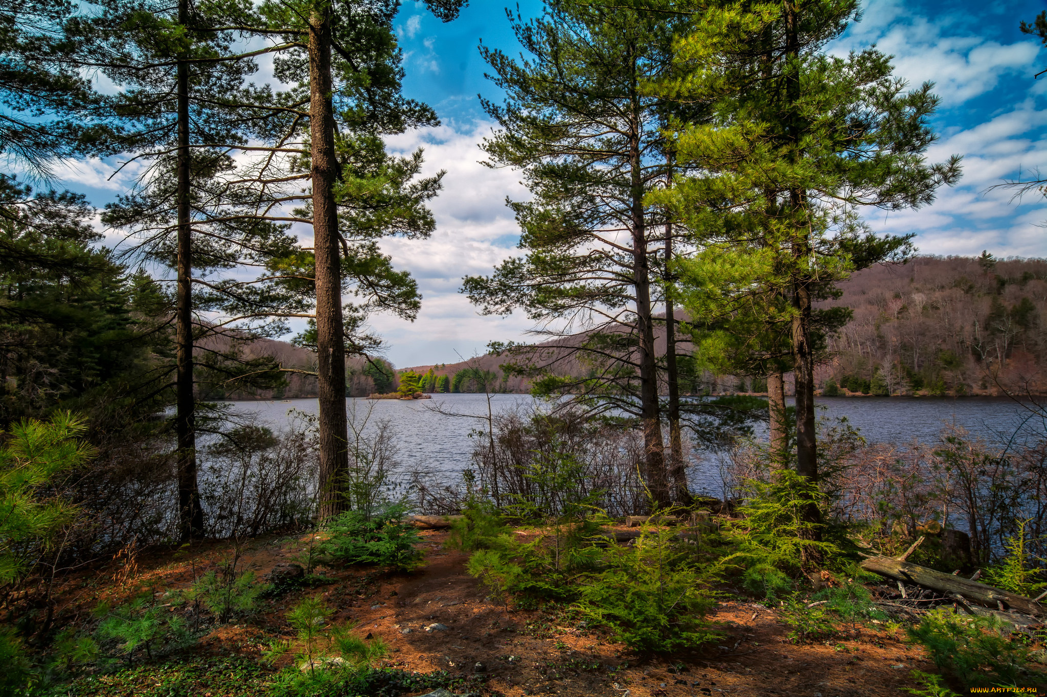 природа, реки, озера, лес, река