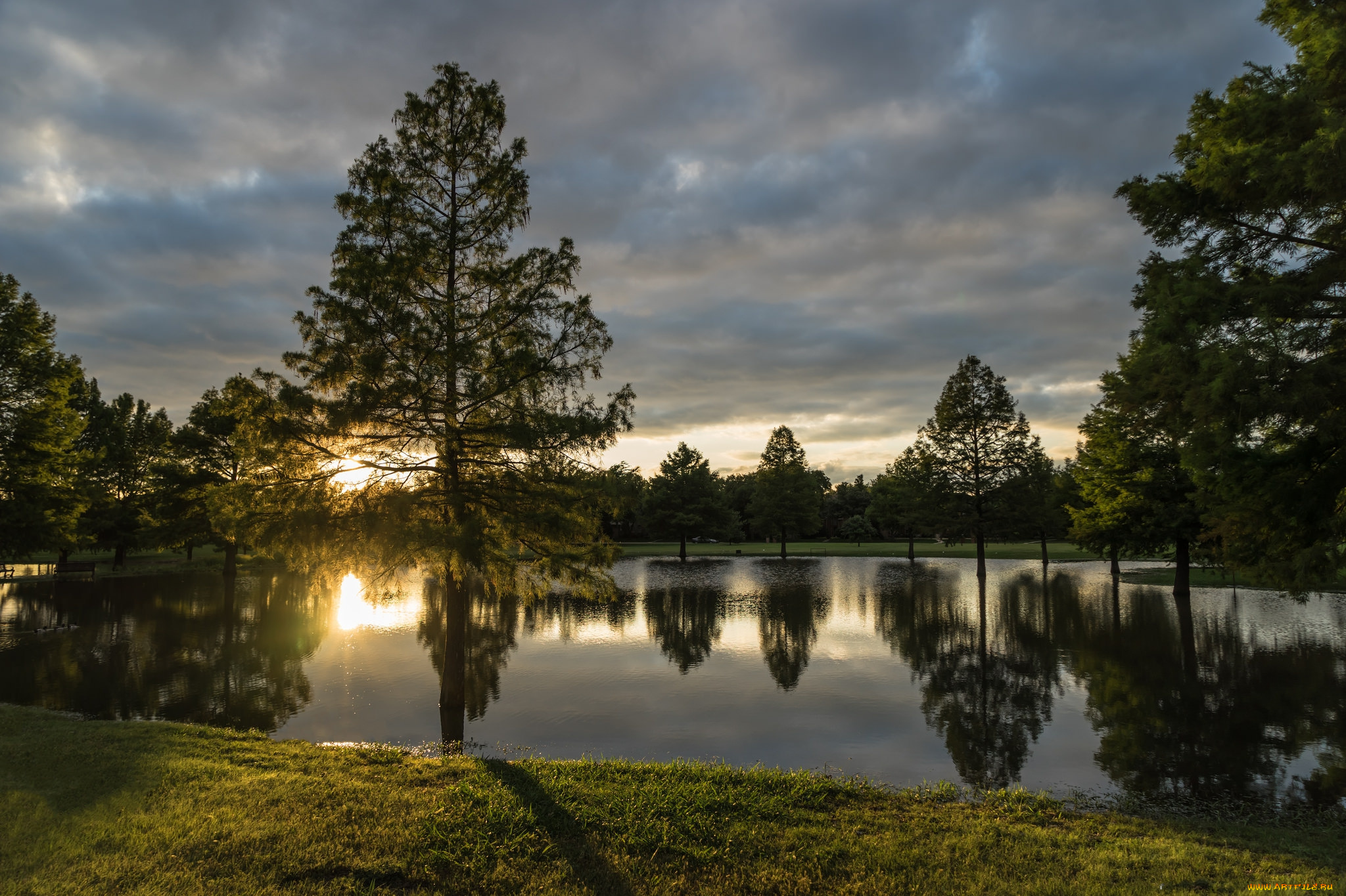 природа, реки, озера, лес, река