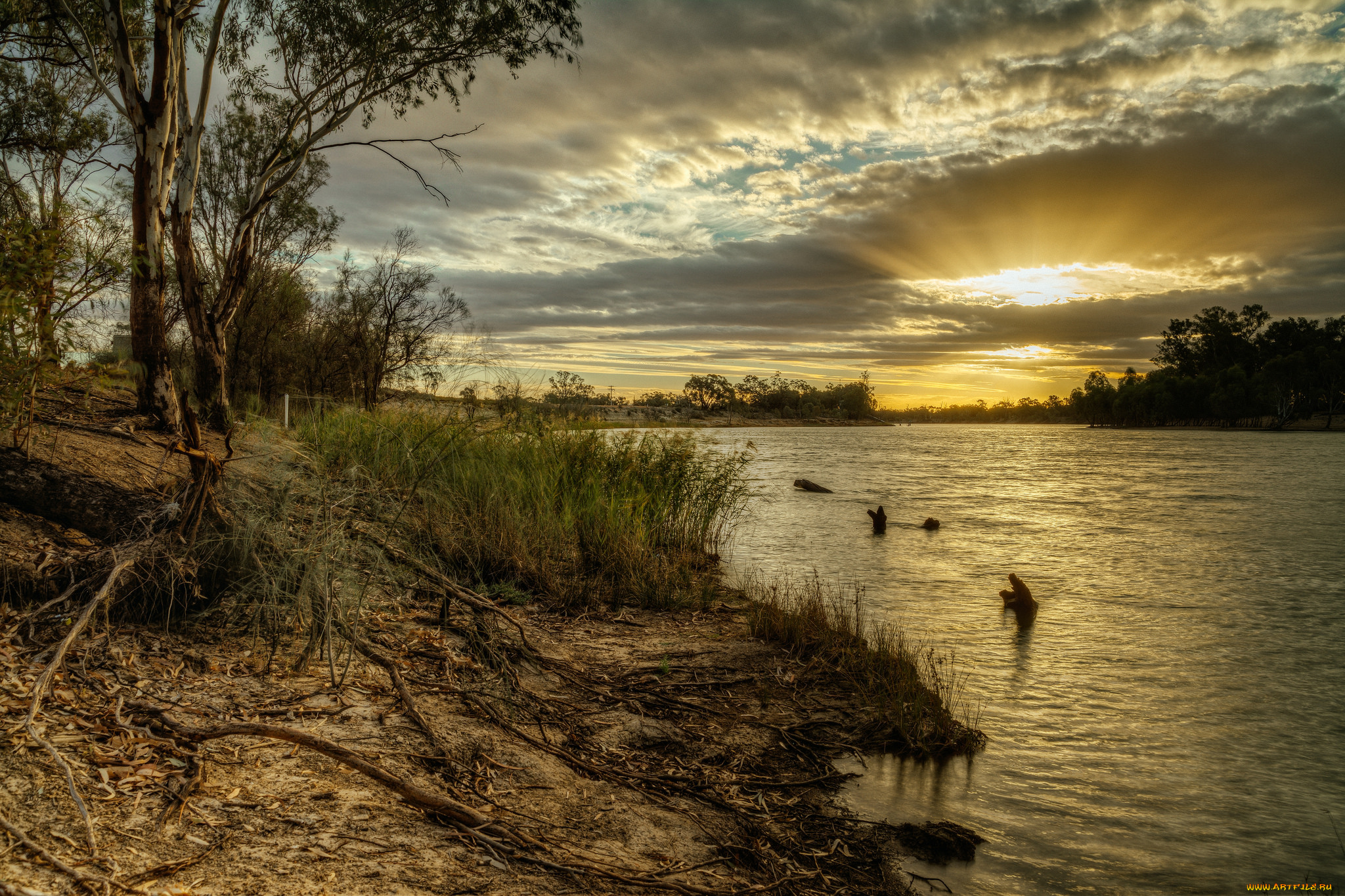 природа, реки, озера, река, лес