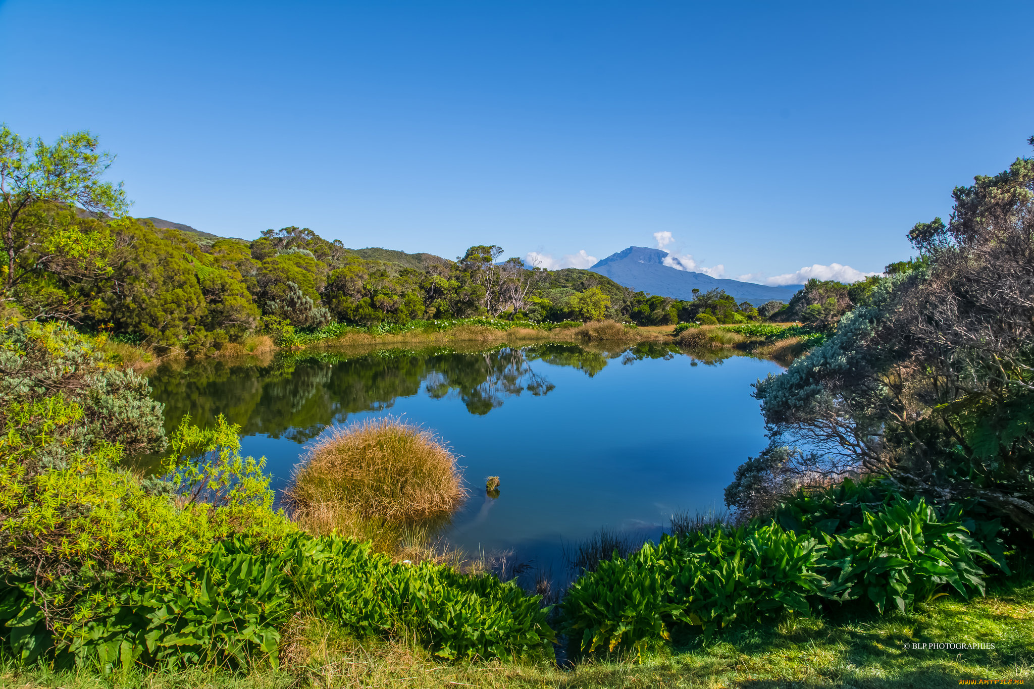 природа, реки, озера, река, лес, горы