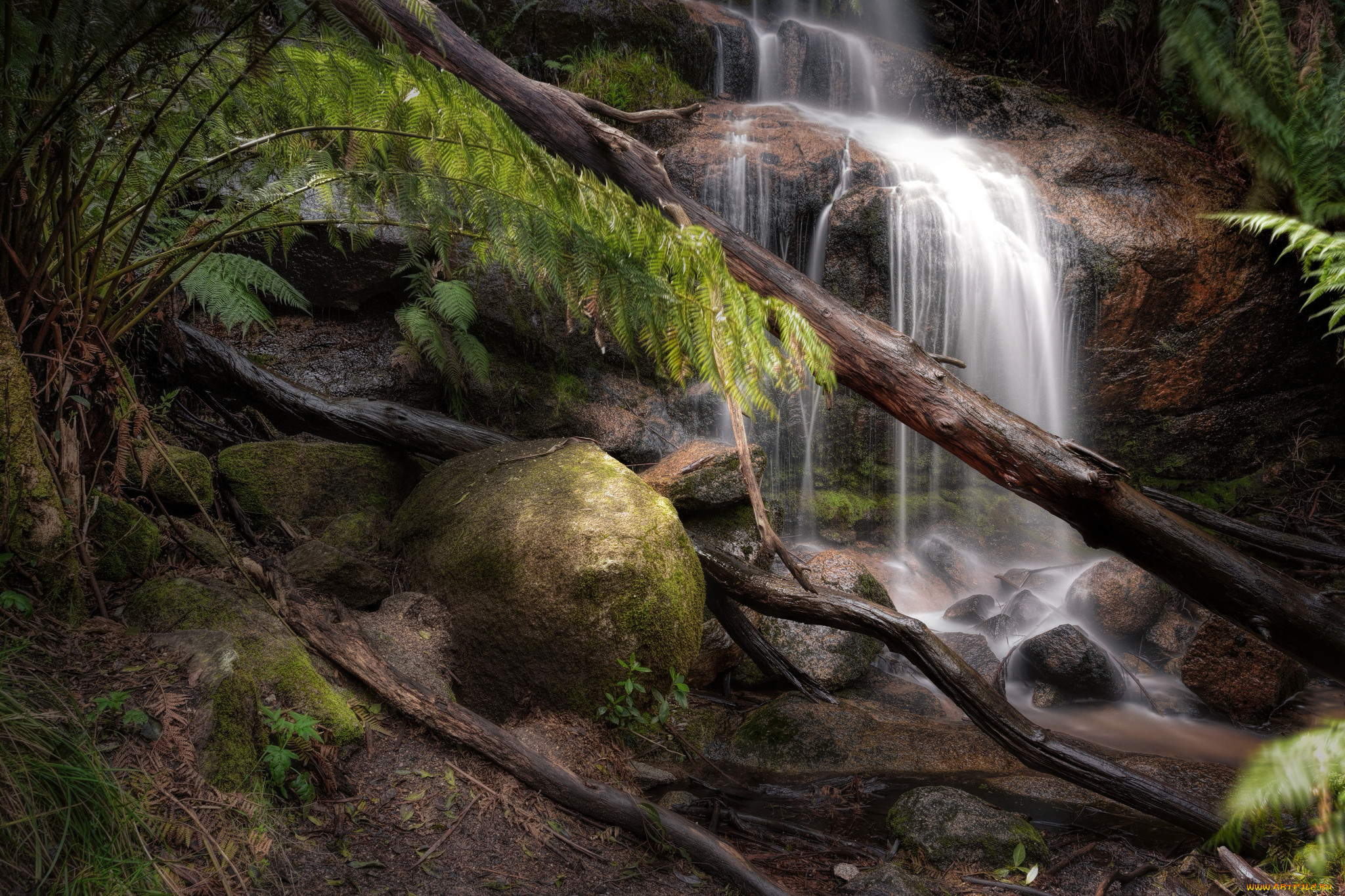 природа, водопады, лес, водопад, река