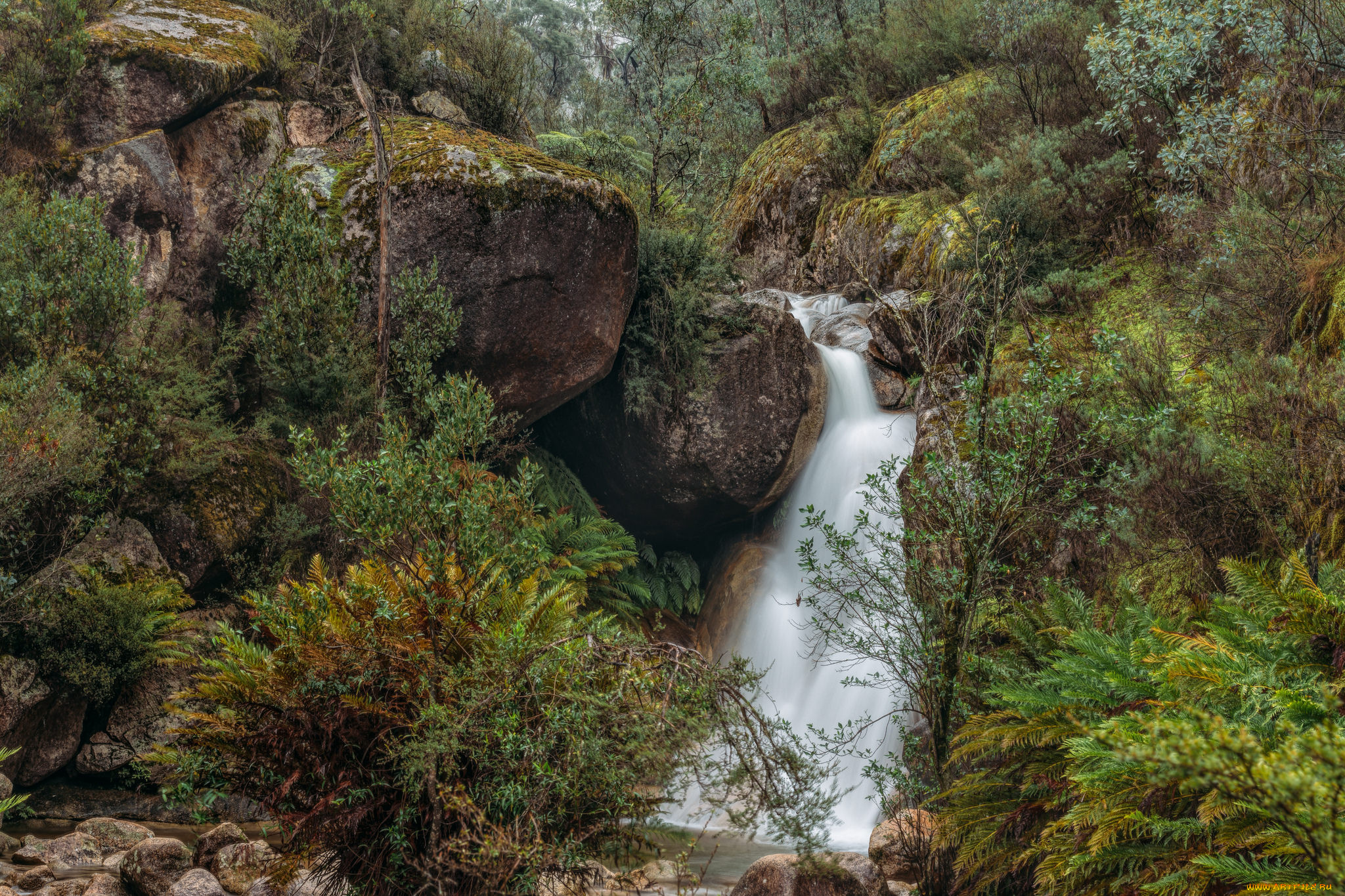 природа, водопады, водопад, река, лес