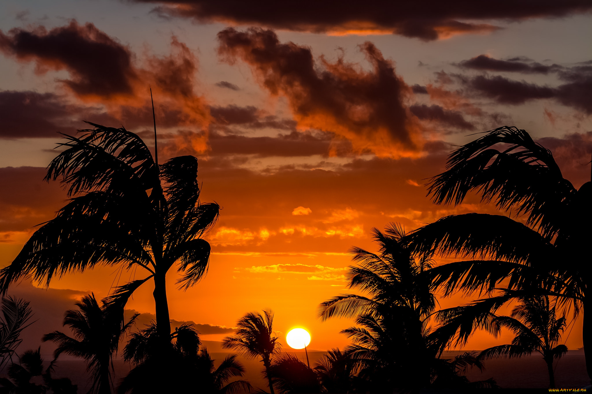 природа, восходы, закаты, сумерки