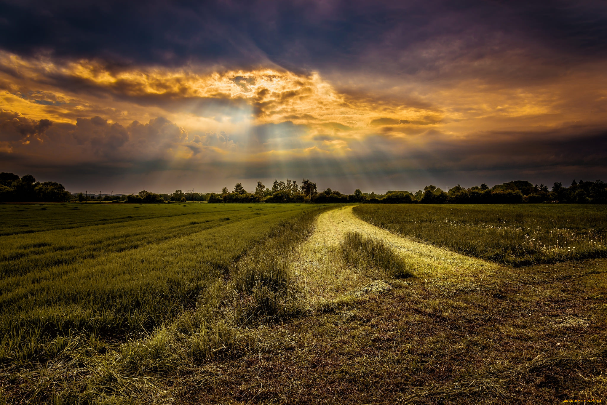 природа, поля, свет, тучи, поле