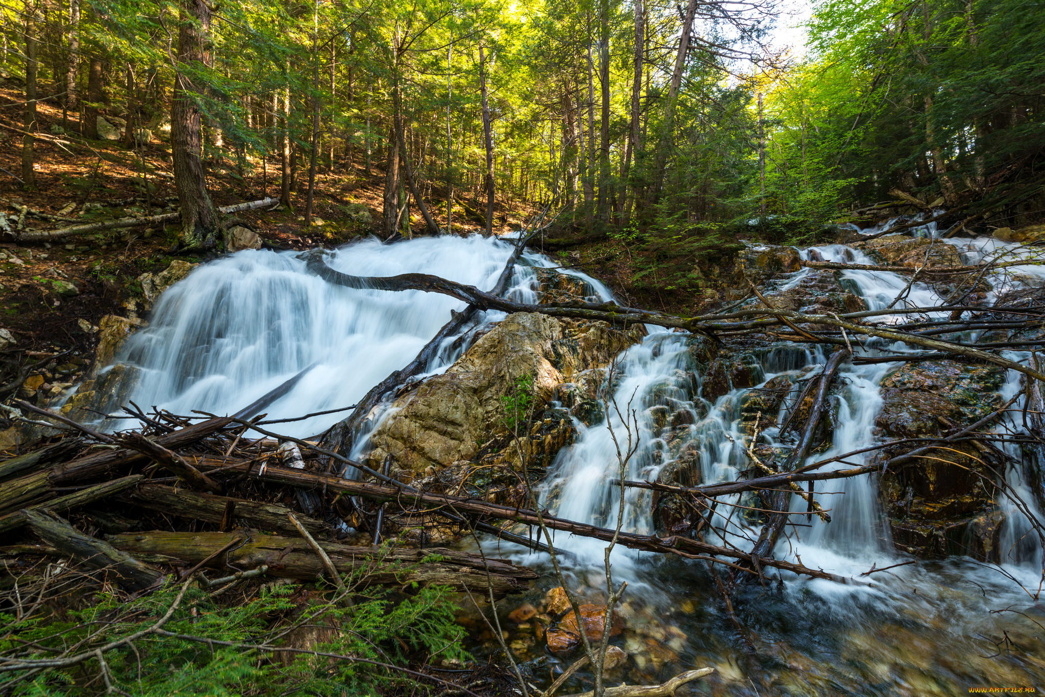 природа, водопады, водопад, река, лес