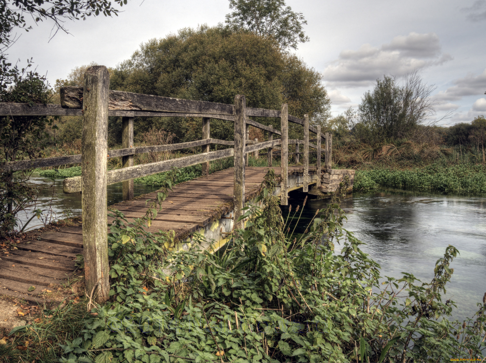 природа, реки, озера, мостик, река, лес