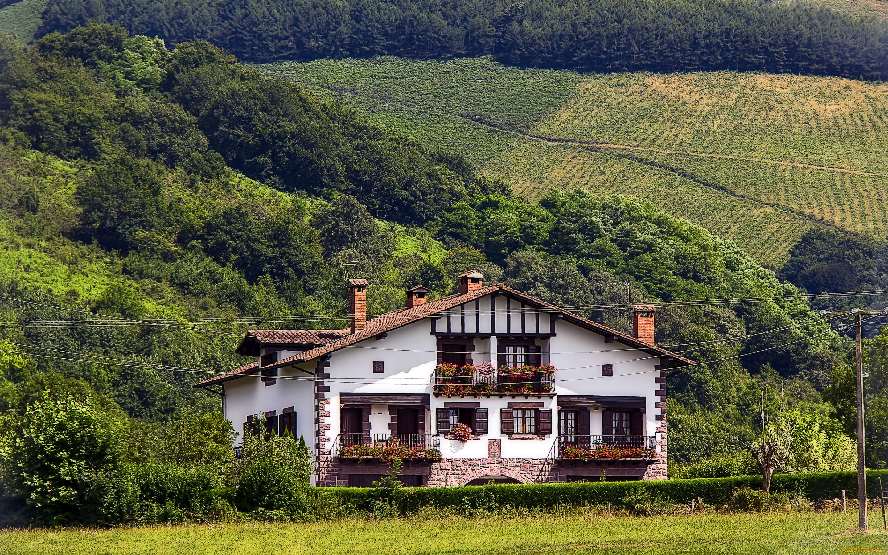 города, -, здания, , дома, склон, поля, деревья, кусты, дом, navarre, baztan, испания