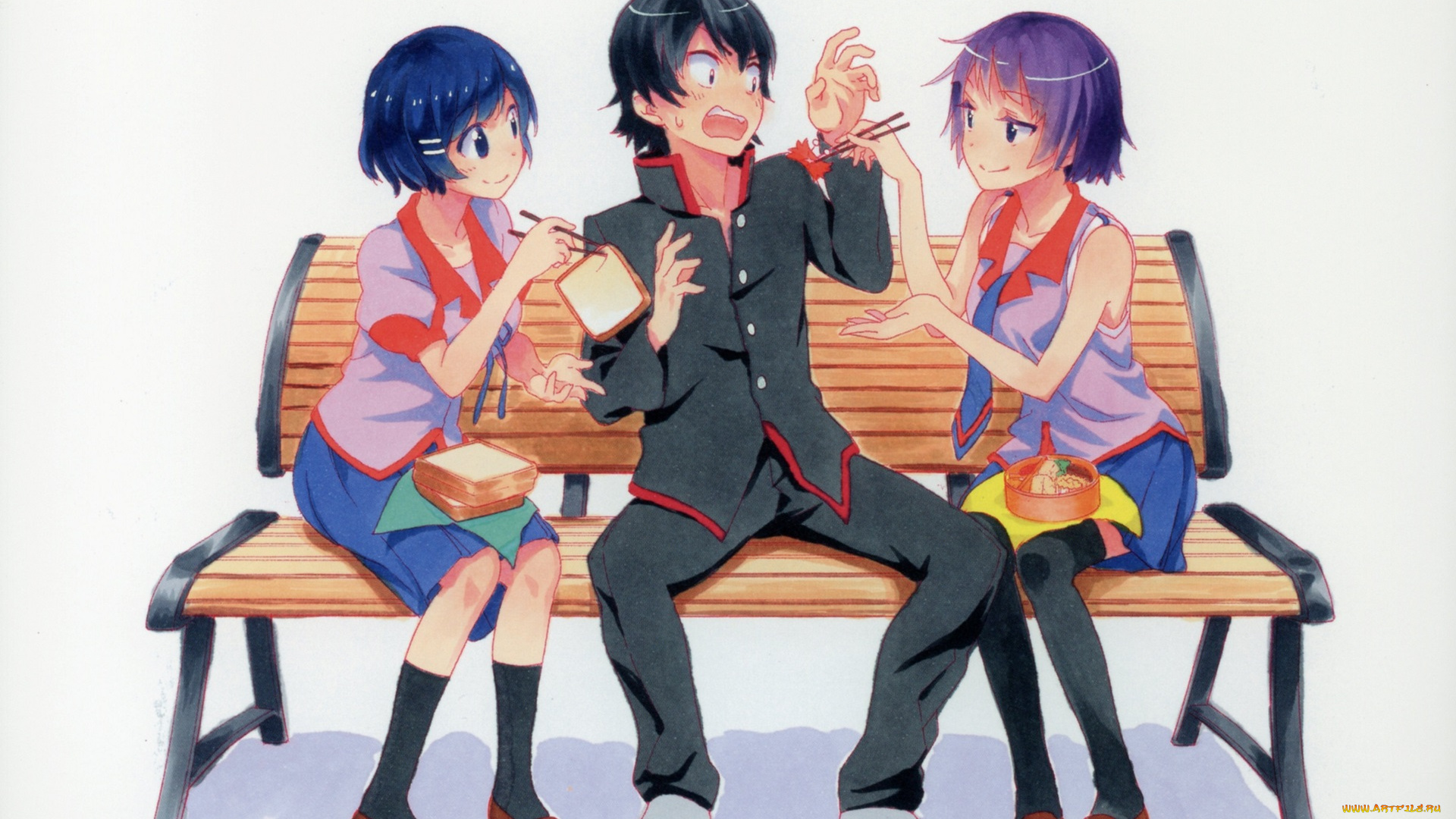 аниме, bakemonogatari, девушки, парень