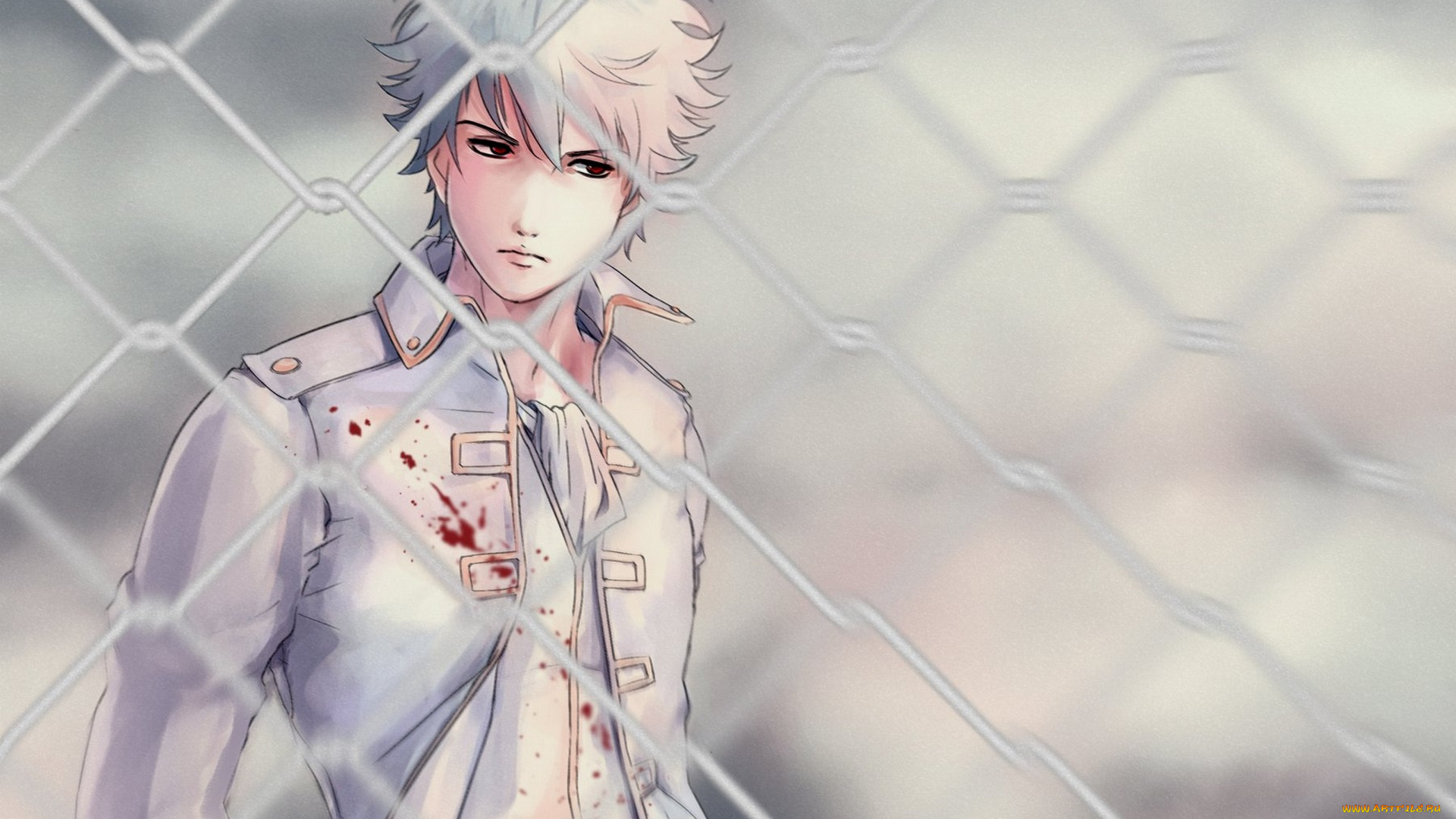 аниме, gintama, саката, гинтоки