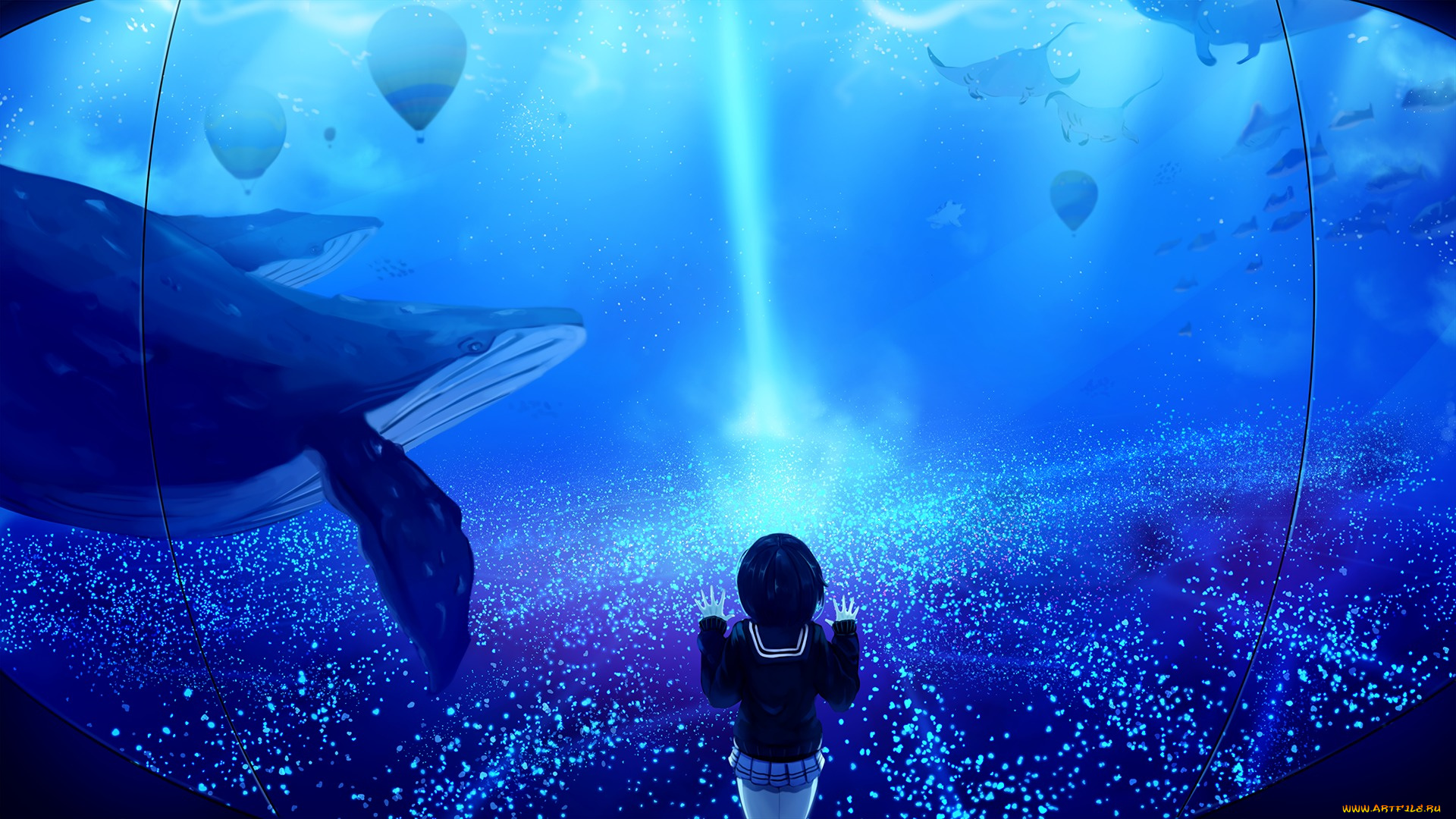 аниме, животные, , существа, девушка, школьная, форма, океанариум, киты, скаты, рыбы