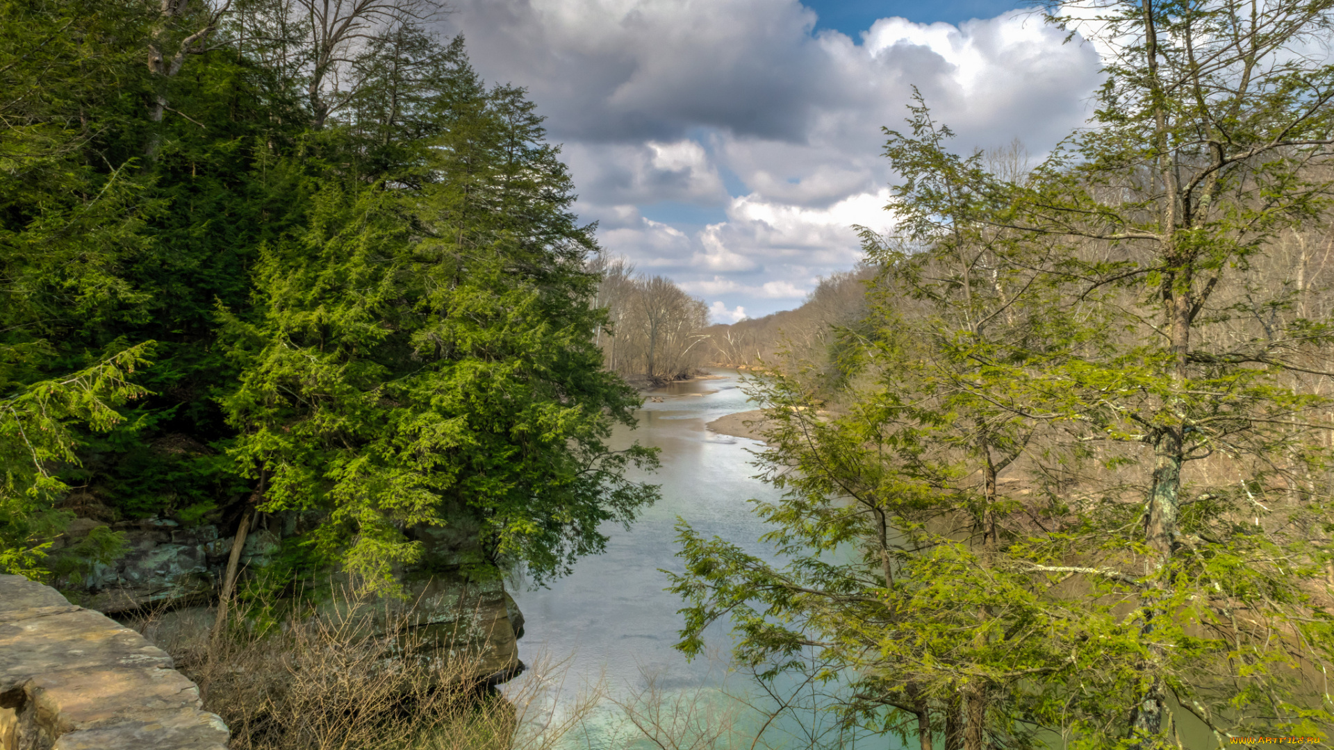 природа, реки, озера, лес, река