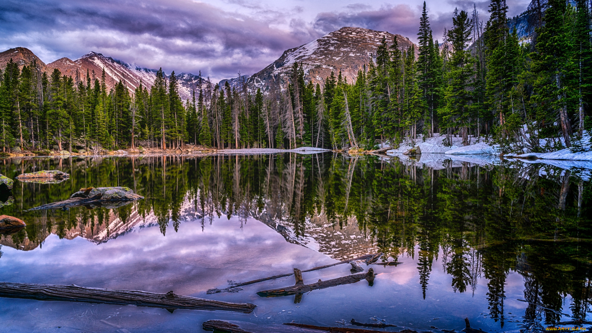 природа, реки, озера, лес, река