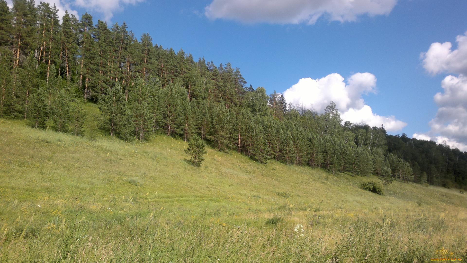 природа, самары, природа, луга, село, бахилово, самарская, область