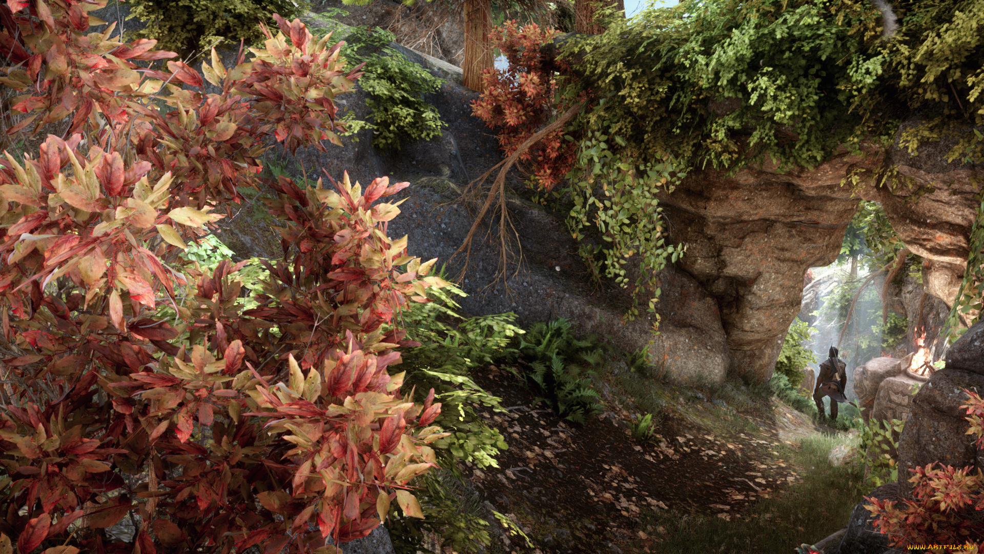 видео, игры, dragon, age, цветы, скала