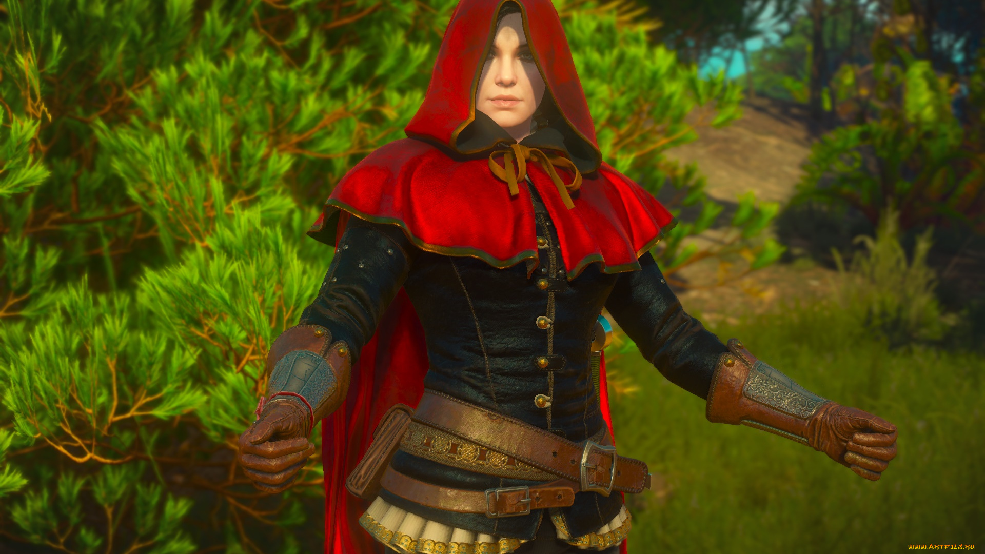 видео, игры, the, witcher, 3, , wild, hunt, девушка, фон, взгляд