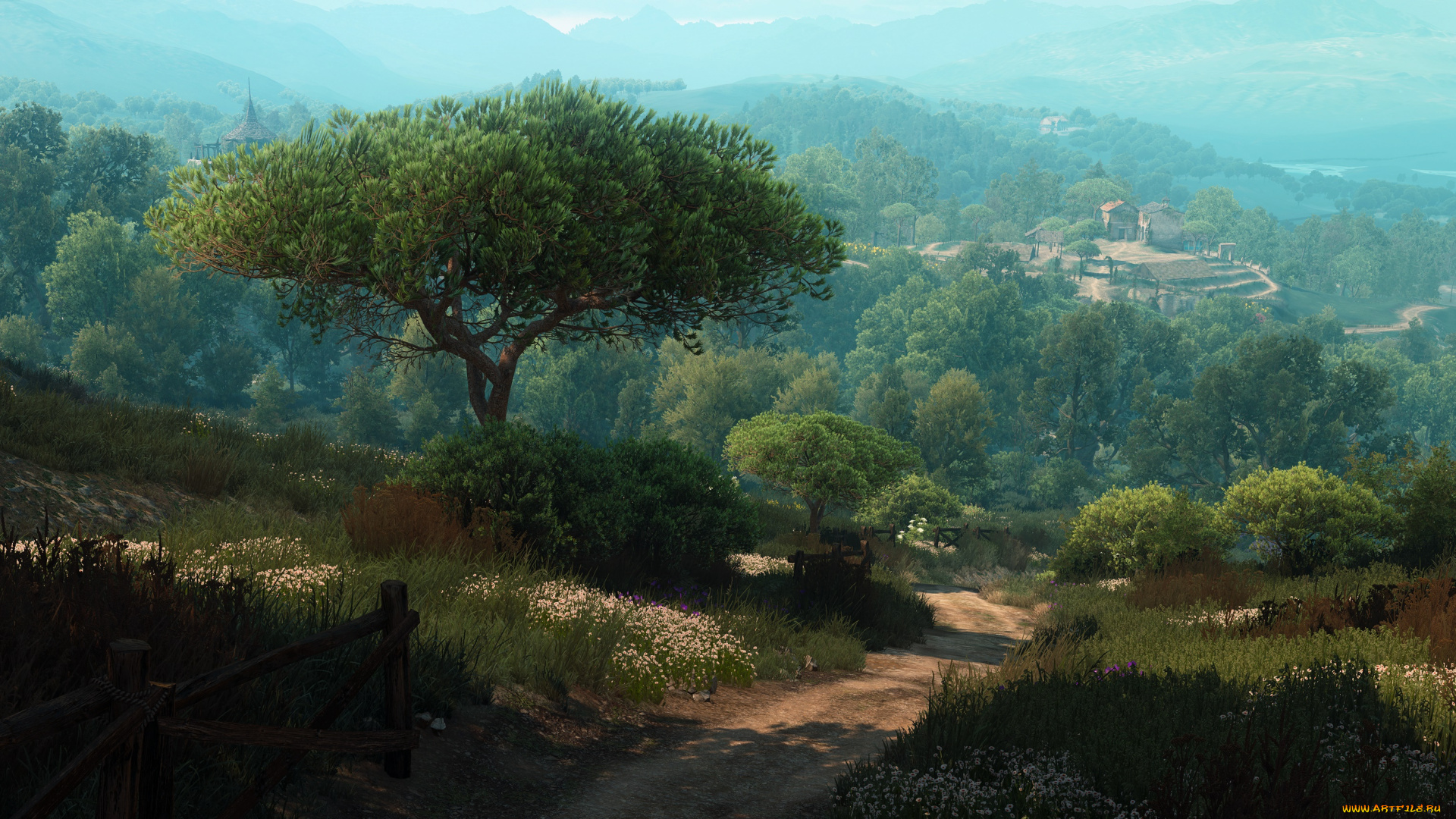 видео, игры, the, witcher, 3, , wild, hunt, природа