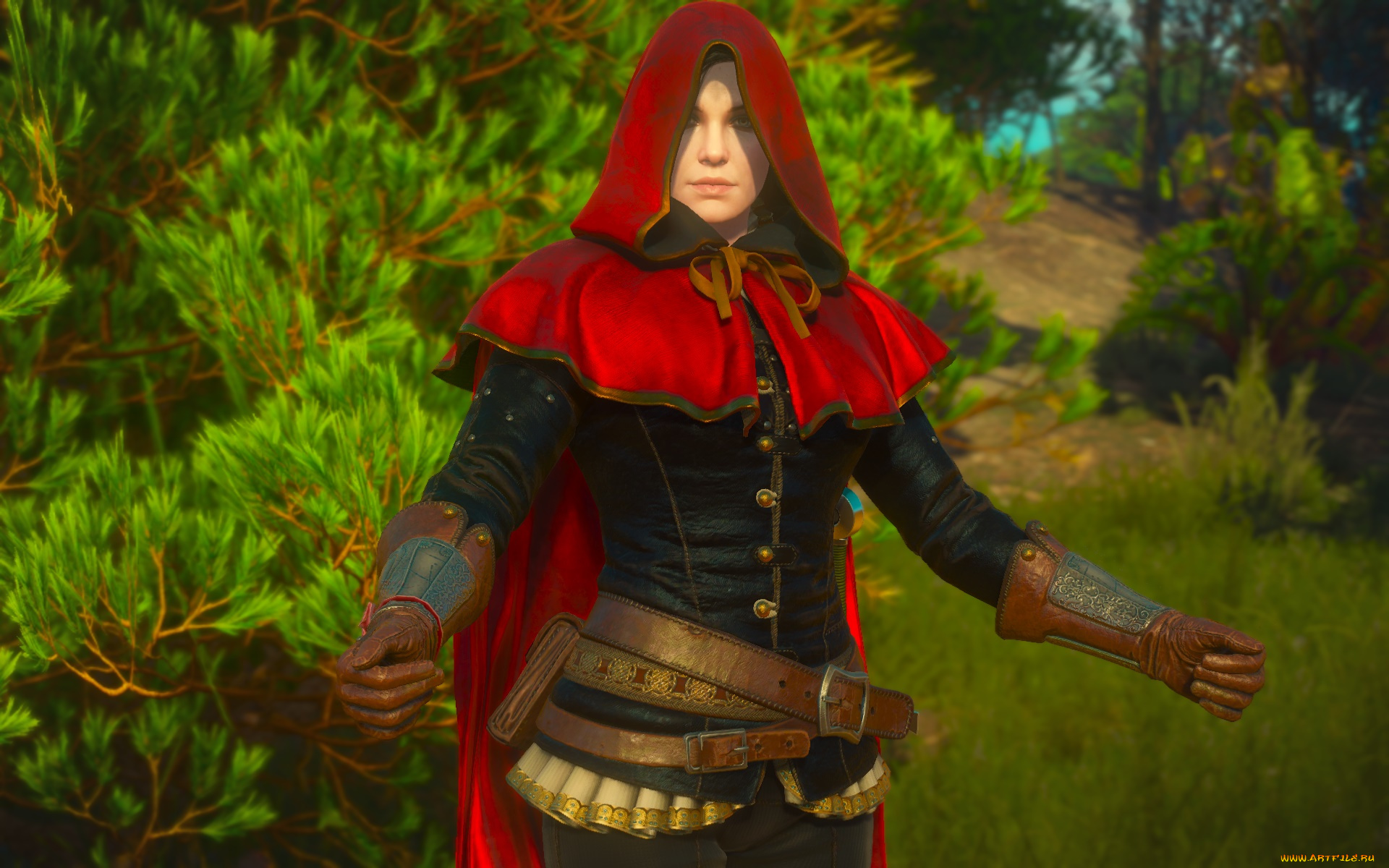 видео, игры, the, witcher, 3, , wild, hunt, девушка, фон, взгляд