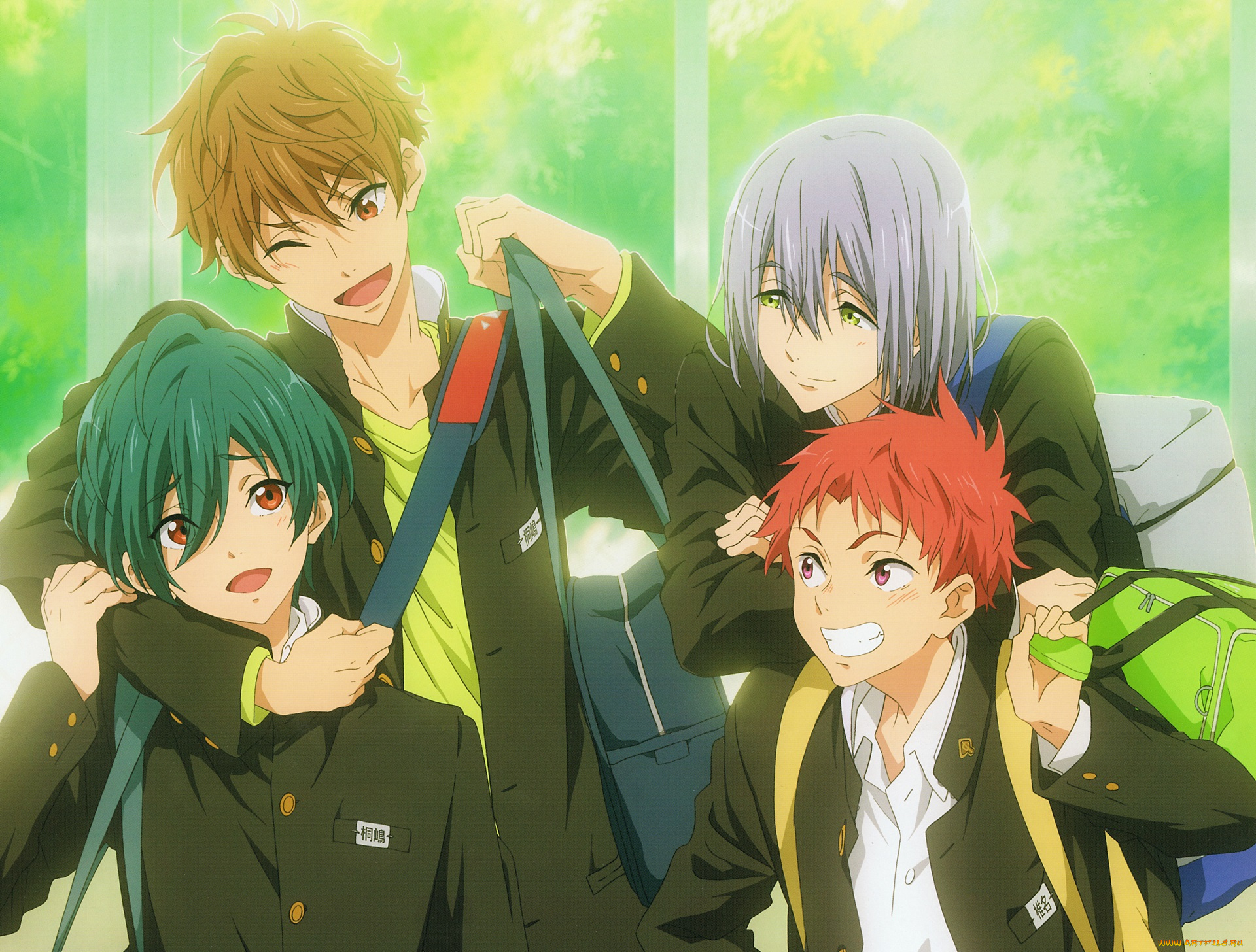 аниме, free, мальчики