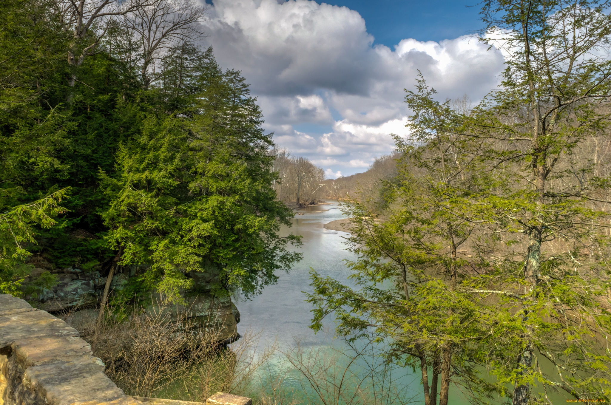 природа, реки, озера, лес, река