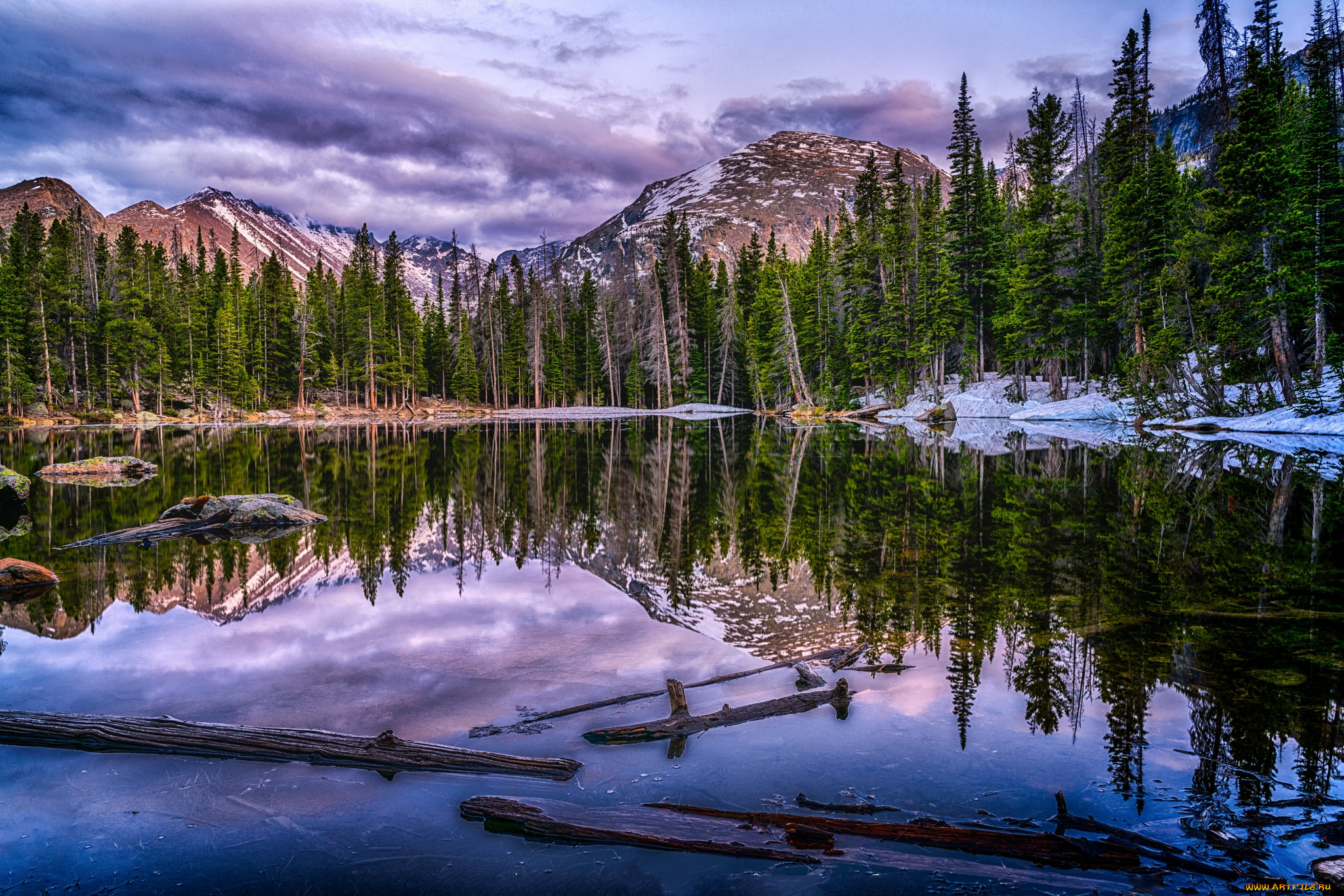 природа, реки, озера, лес, река