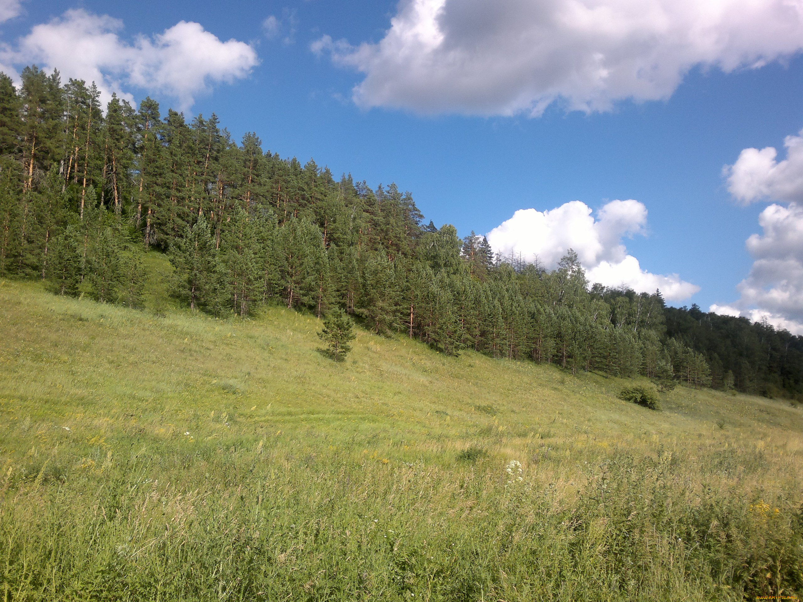 природа, самары, природа, луга, село, бахилово, самарская, область