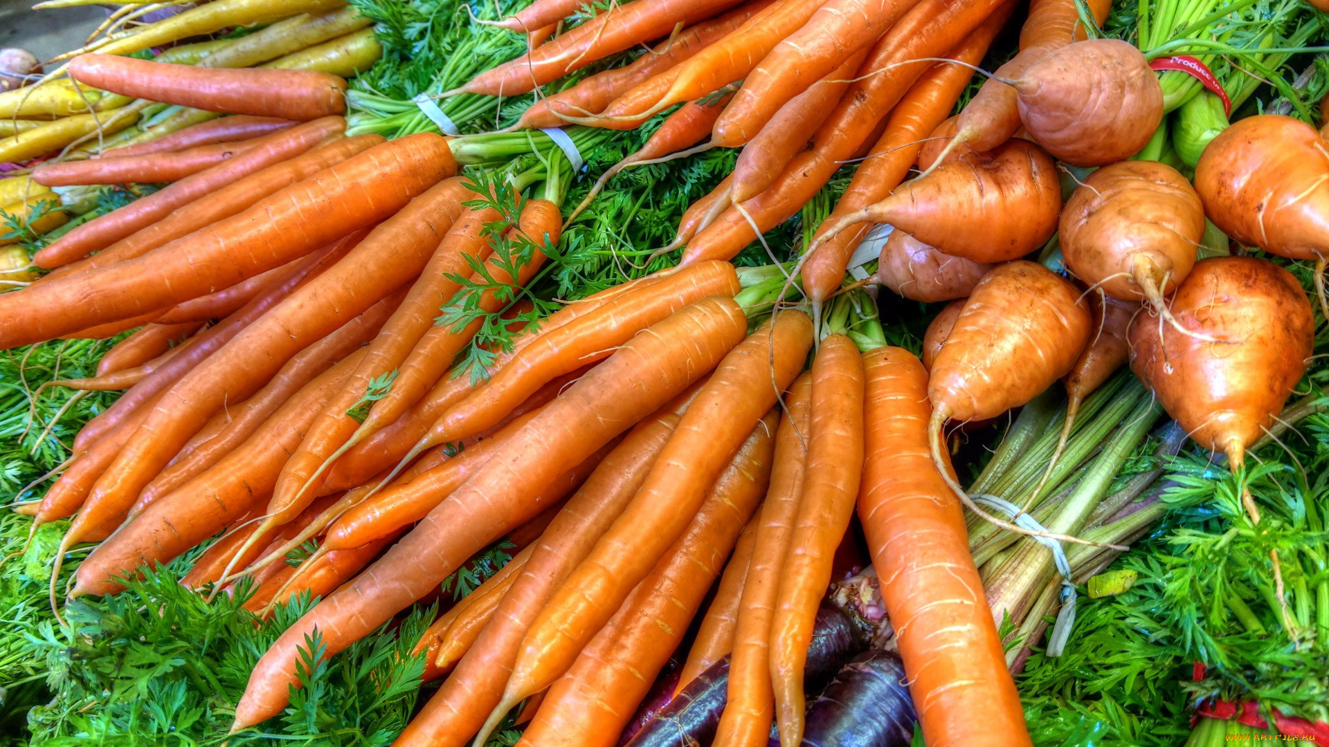 еда, морковь, пучки, корнеплоды