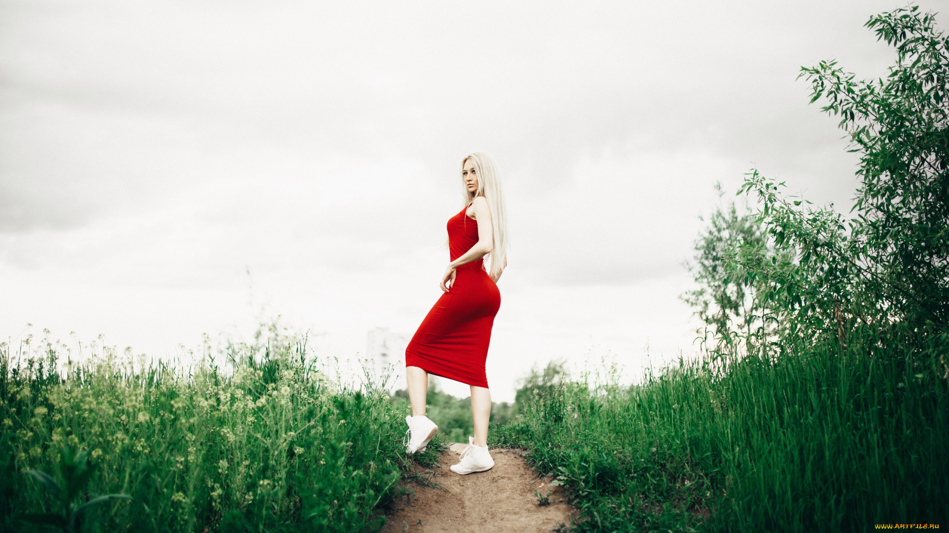 девушка, девушки, -unsort, , блондинки, , светловолосые, модель