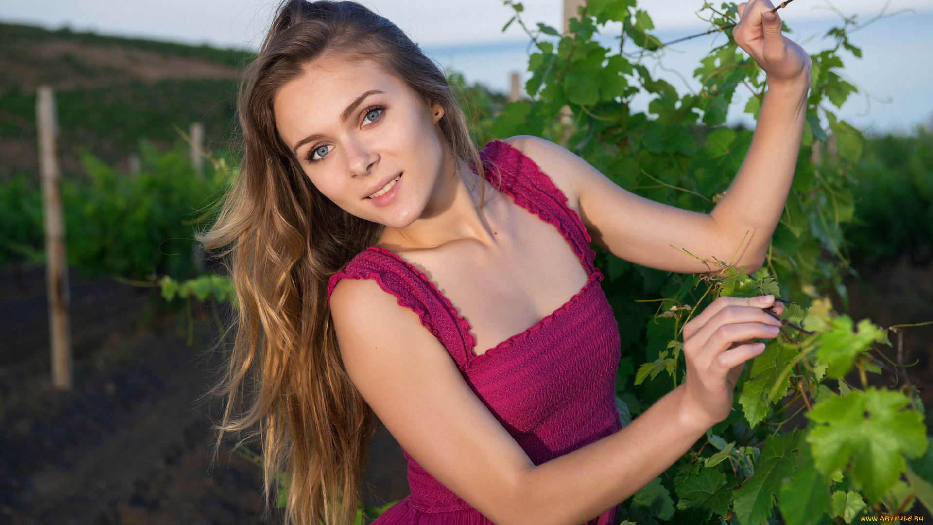 девушка, девушки, -unsort, , блондинки, , светловолосые, модель