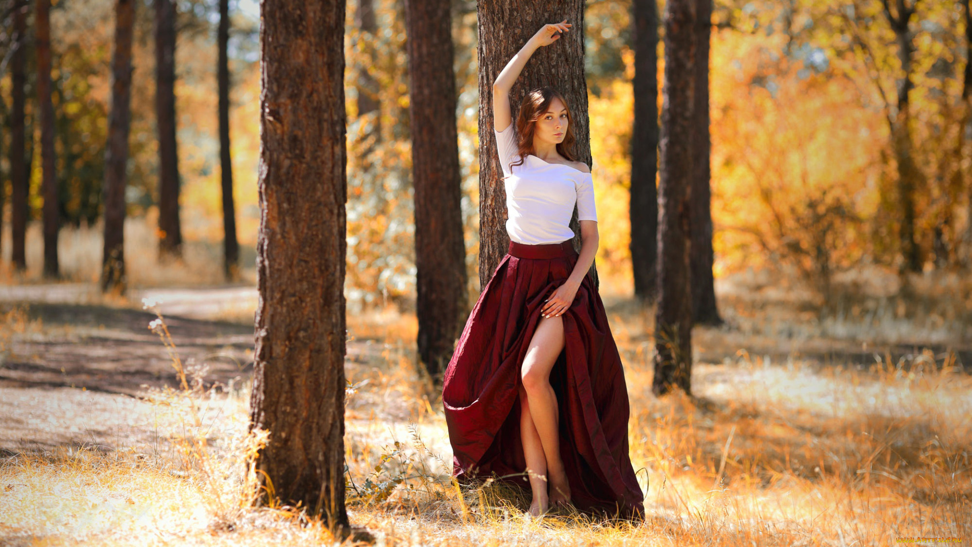 девушка, девушки, -unsort, , рыжеволосые, и, другие, модель