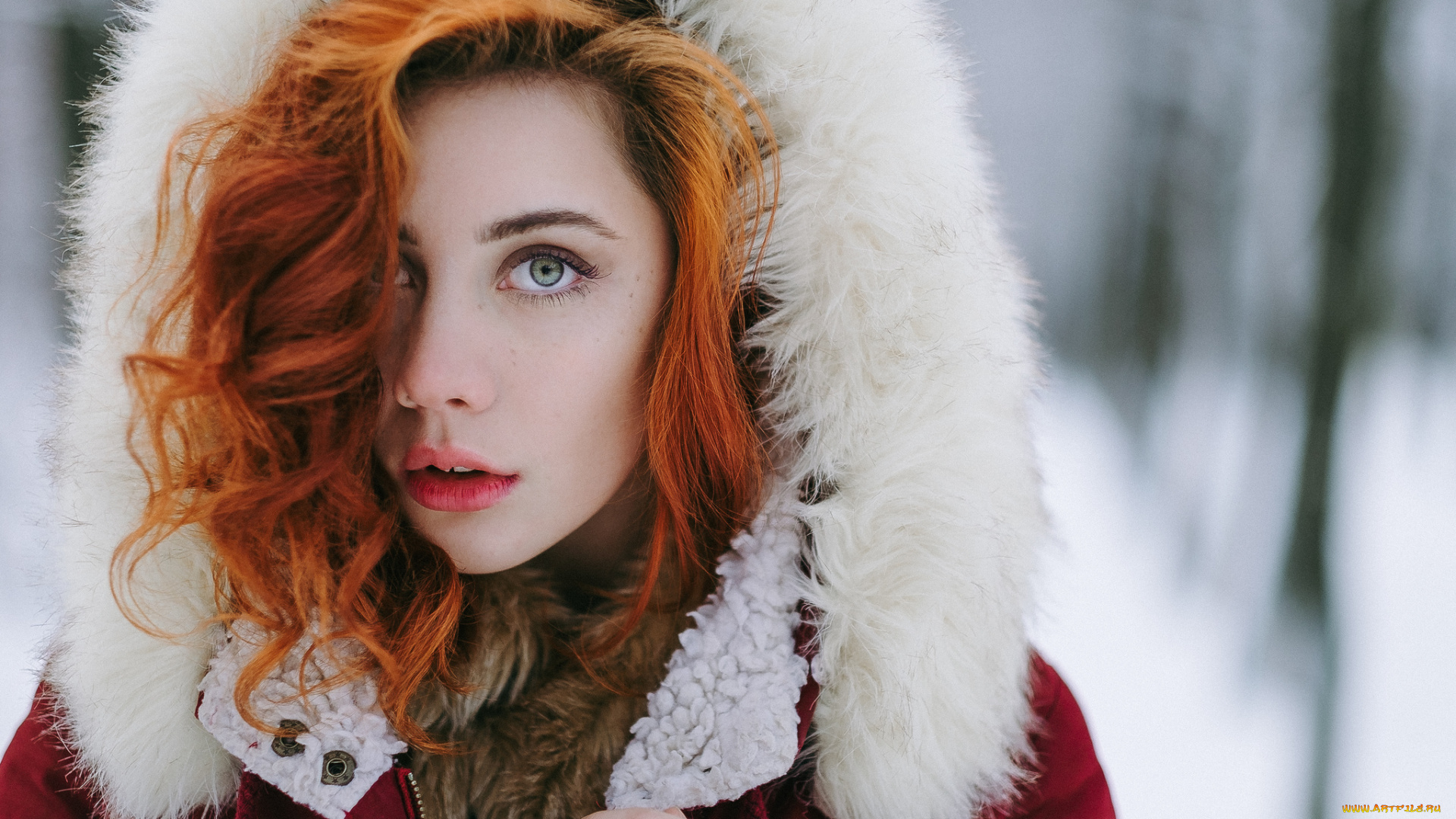 девушка, девушки, -unsort, , рыжеволосые, и, другие, модель