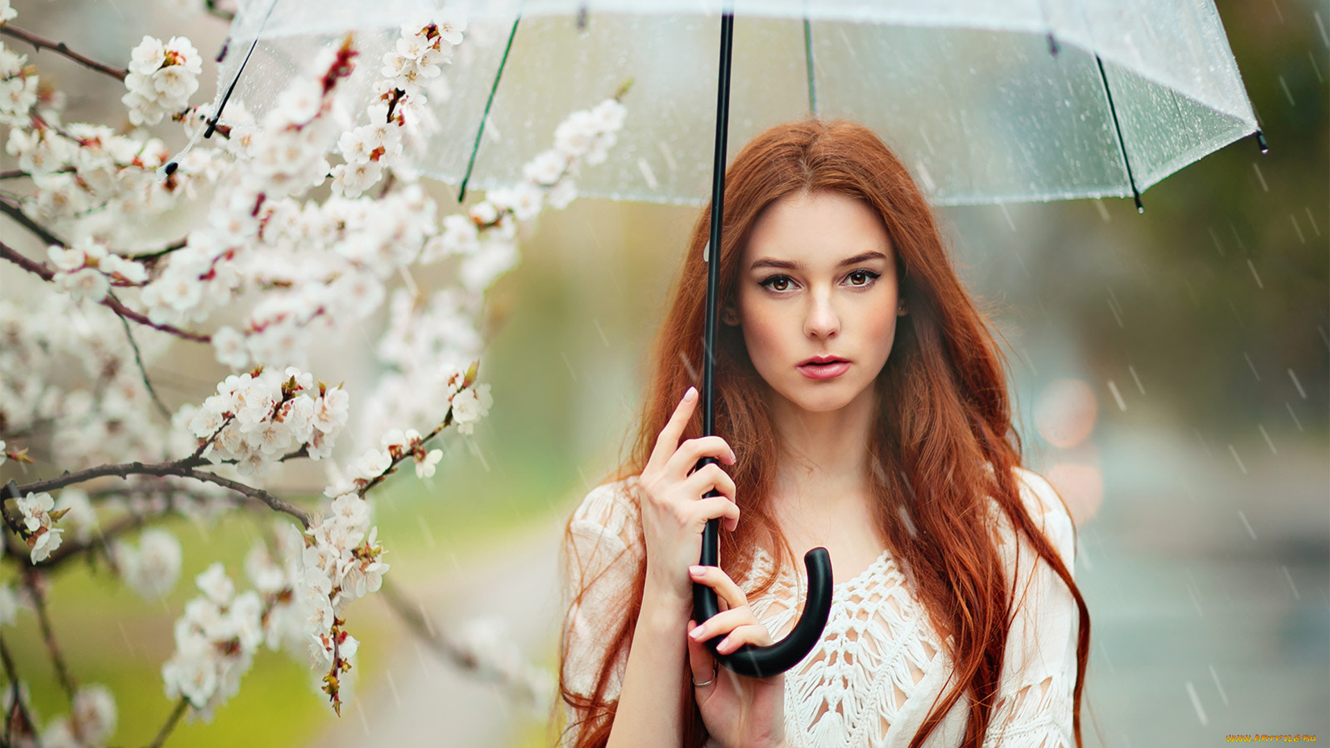 девушка, девушки, -unsort, , рыжеволосые, и, другие, модель