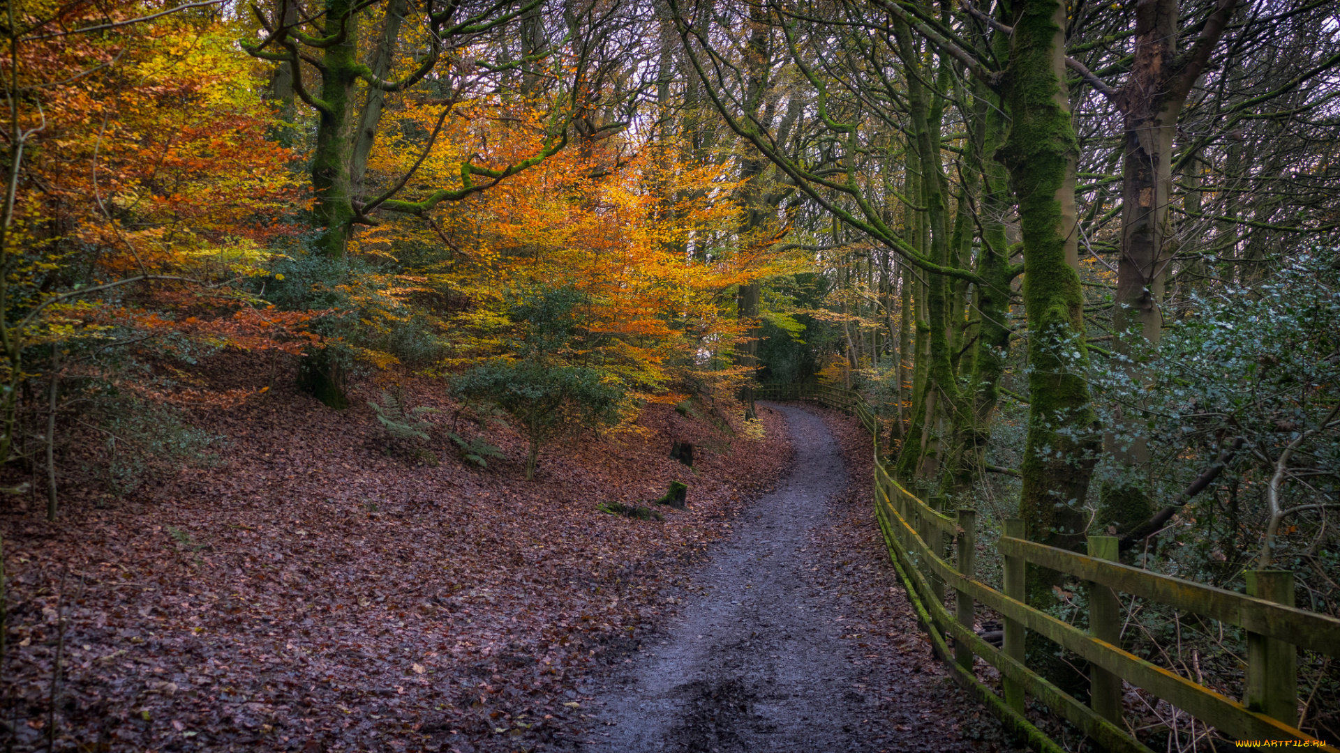 природа, дороги, простор