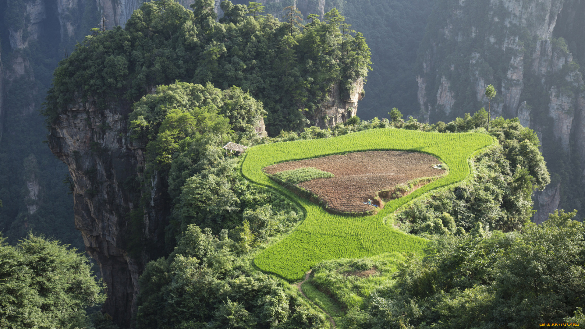 природа, горы, простор