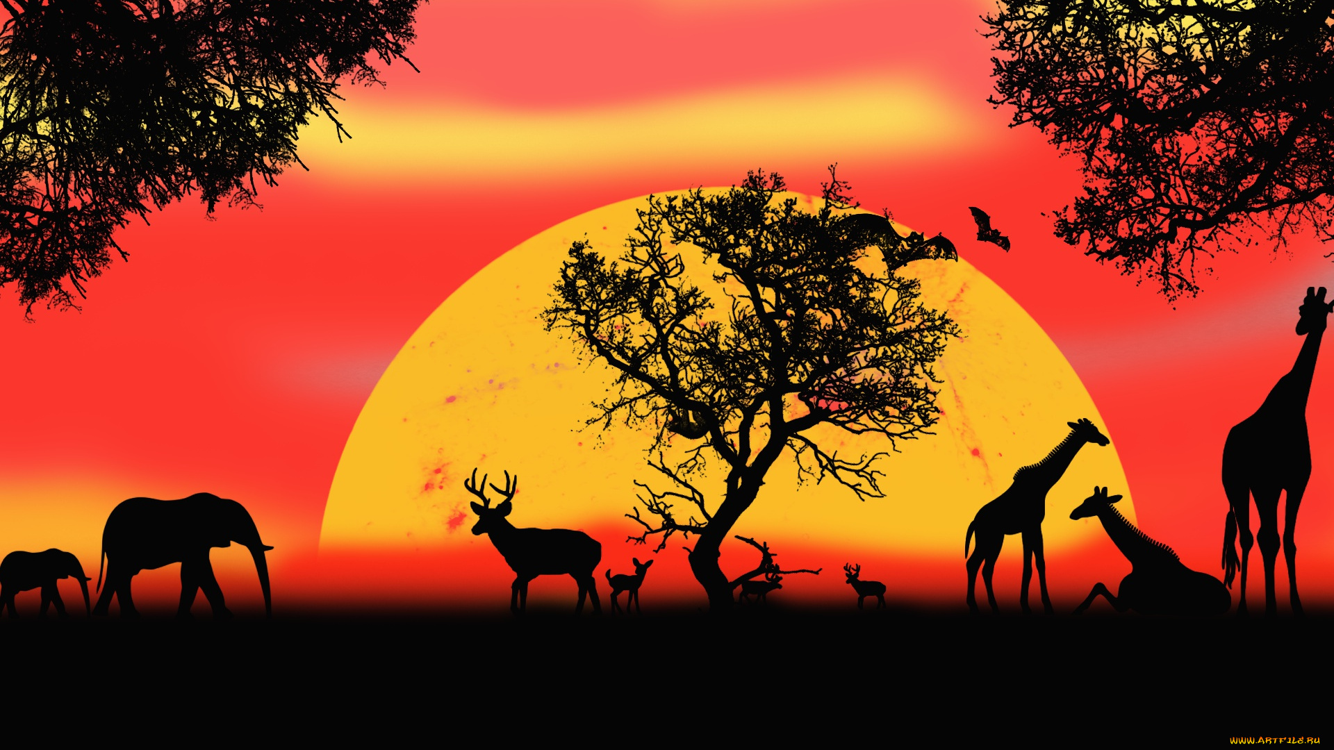 векторная, графика, животные, , animals, сафари, картинка, животные