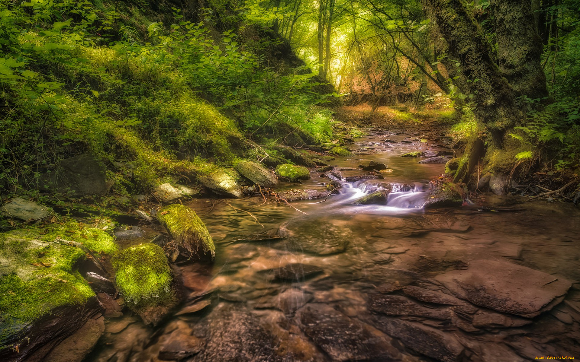 природа, реки, озера, простор