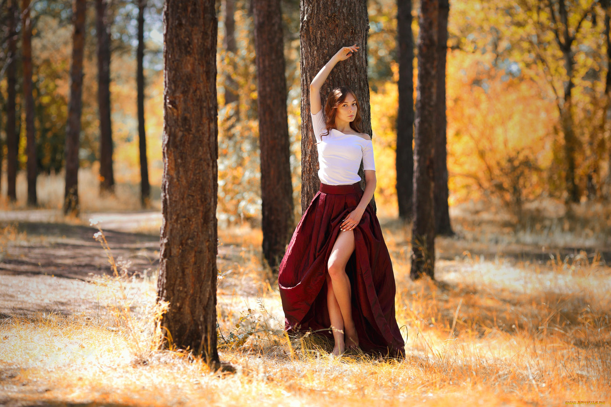 девушка, девушки, -unsort, , рыжеволосые, и, другие, модель