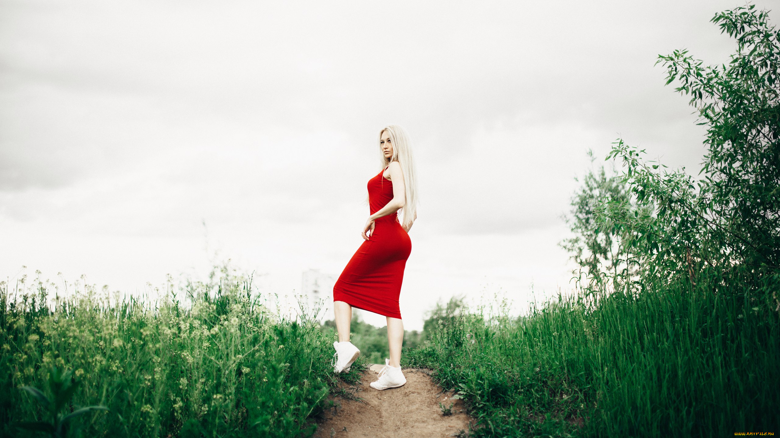 девушка, девушки, -unsort, , блондинки, , светловолосые, модель