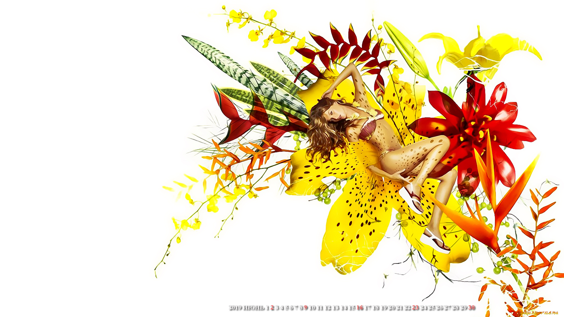 календари, рисованные, , векторная, графика, 2019, calendar, женщина, цветы, девушка