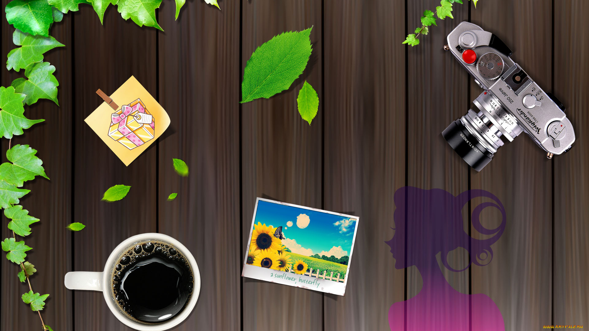 векторная, графика, другое, , other, листья, чашка, фотография, фотоаппарат, девушка