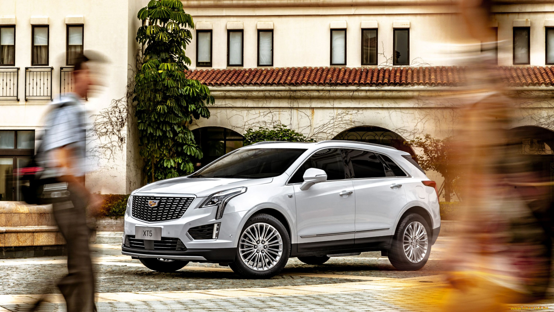 автомобили, cadillac