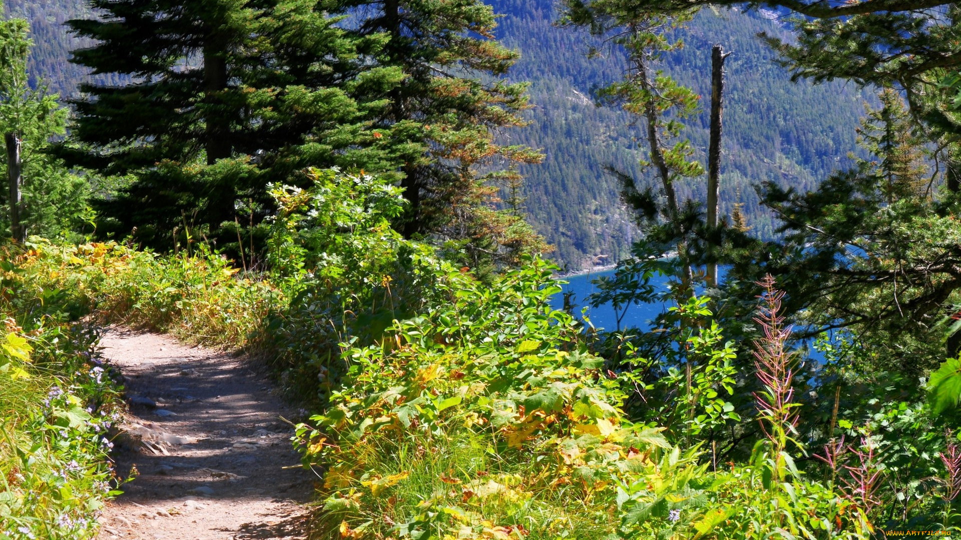 природа, дороги, дорожка, деревья, горы, трава, озеро