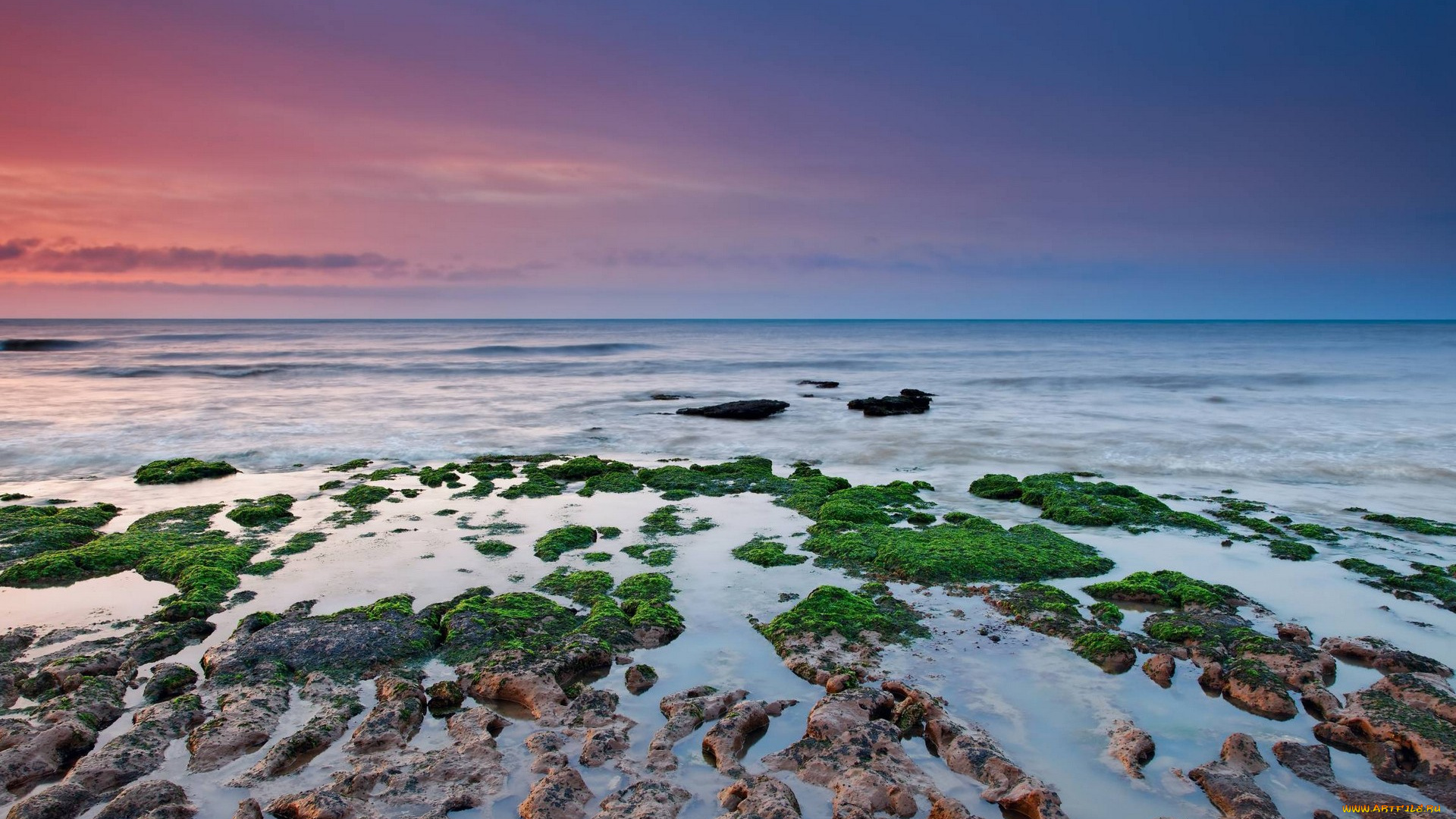 природа, побережье, море, камни, водоросли, берег, закат, небо