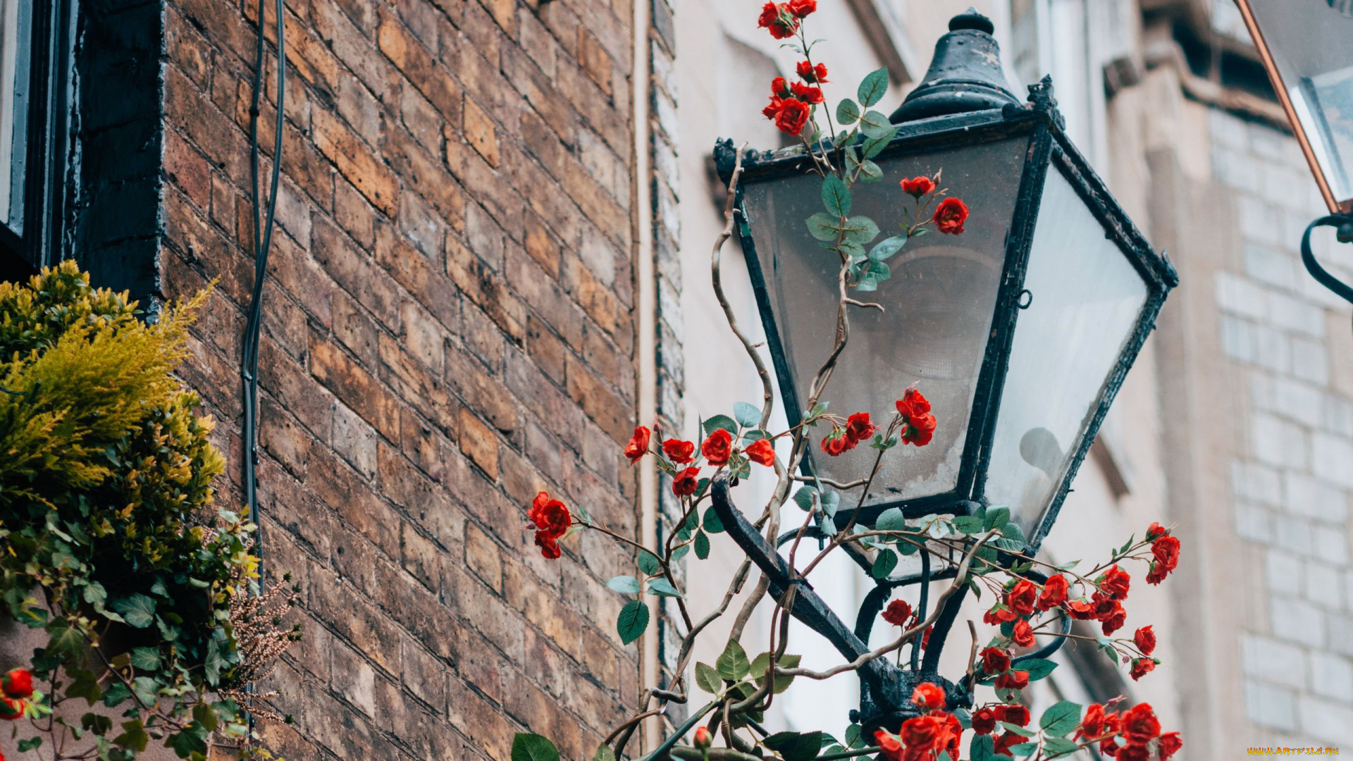 разное, осветительные, приборы, фонарь, уличный