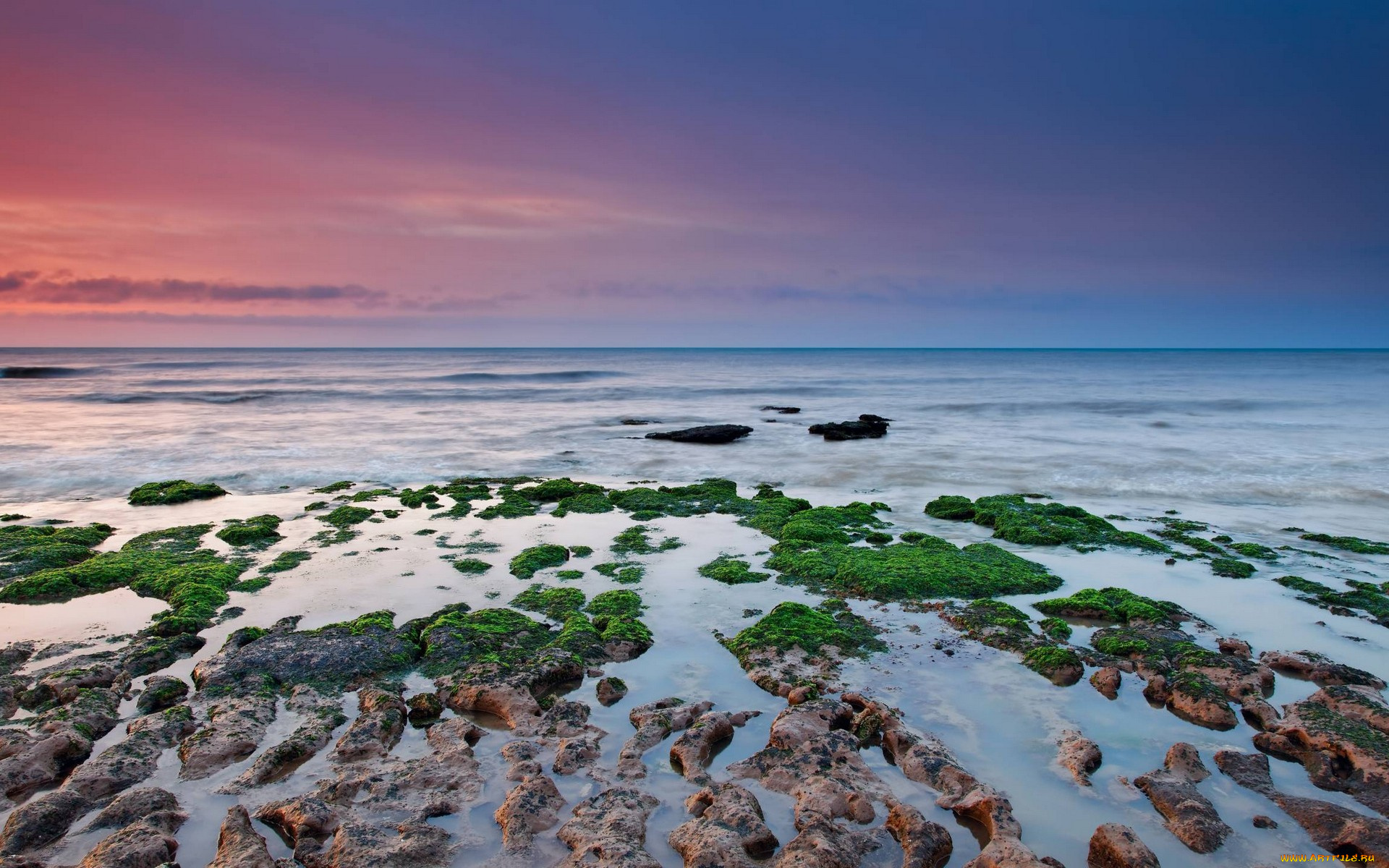 природа, побережье, море, камни, водоросли, берег, закат, небо