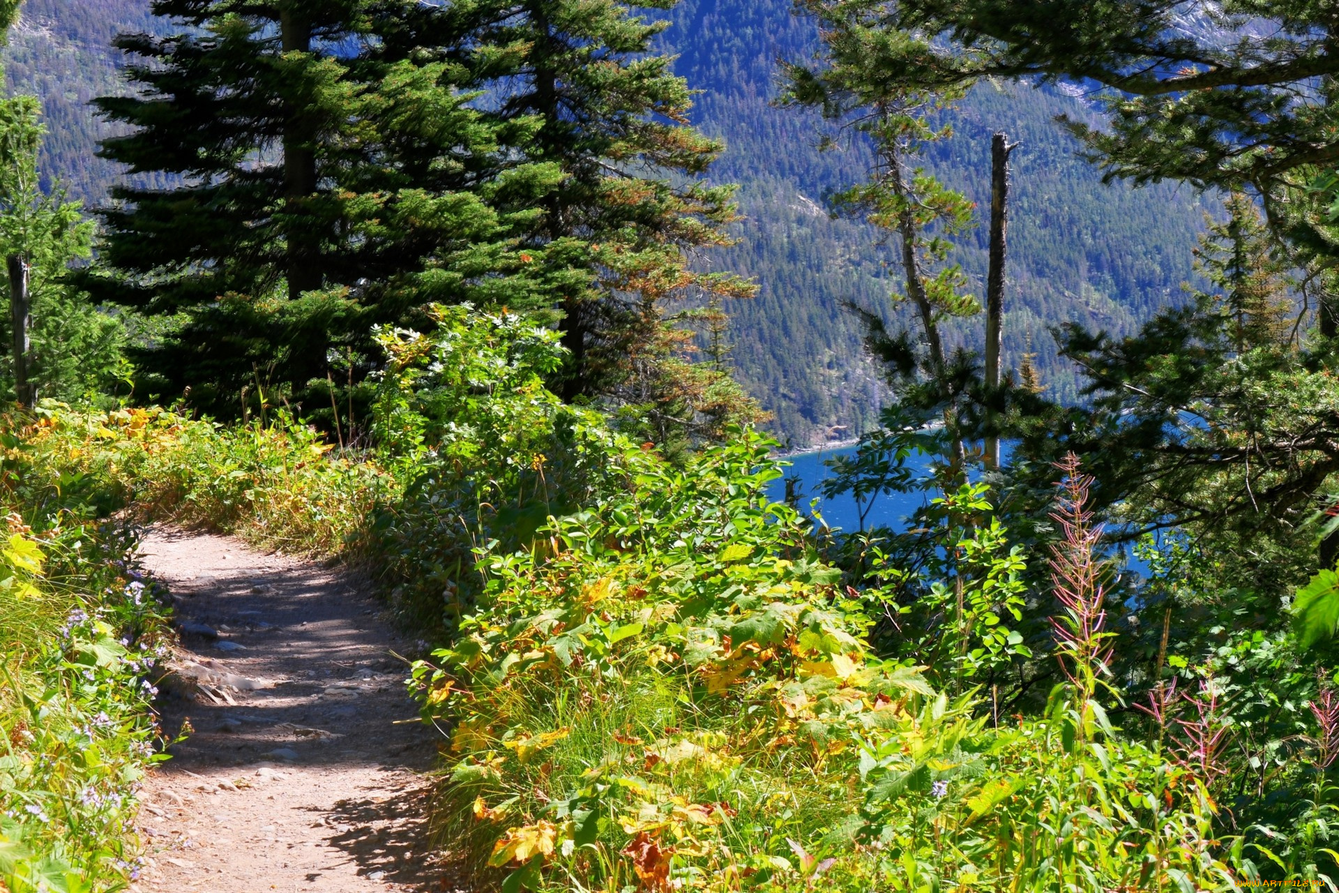 природа, дороги, дорожка, деревья, горы, трава, озеро