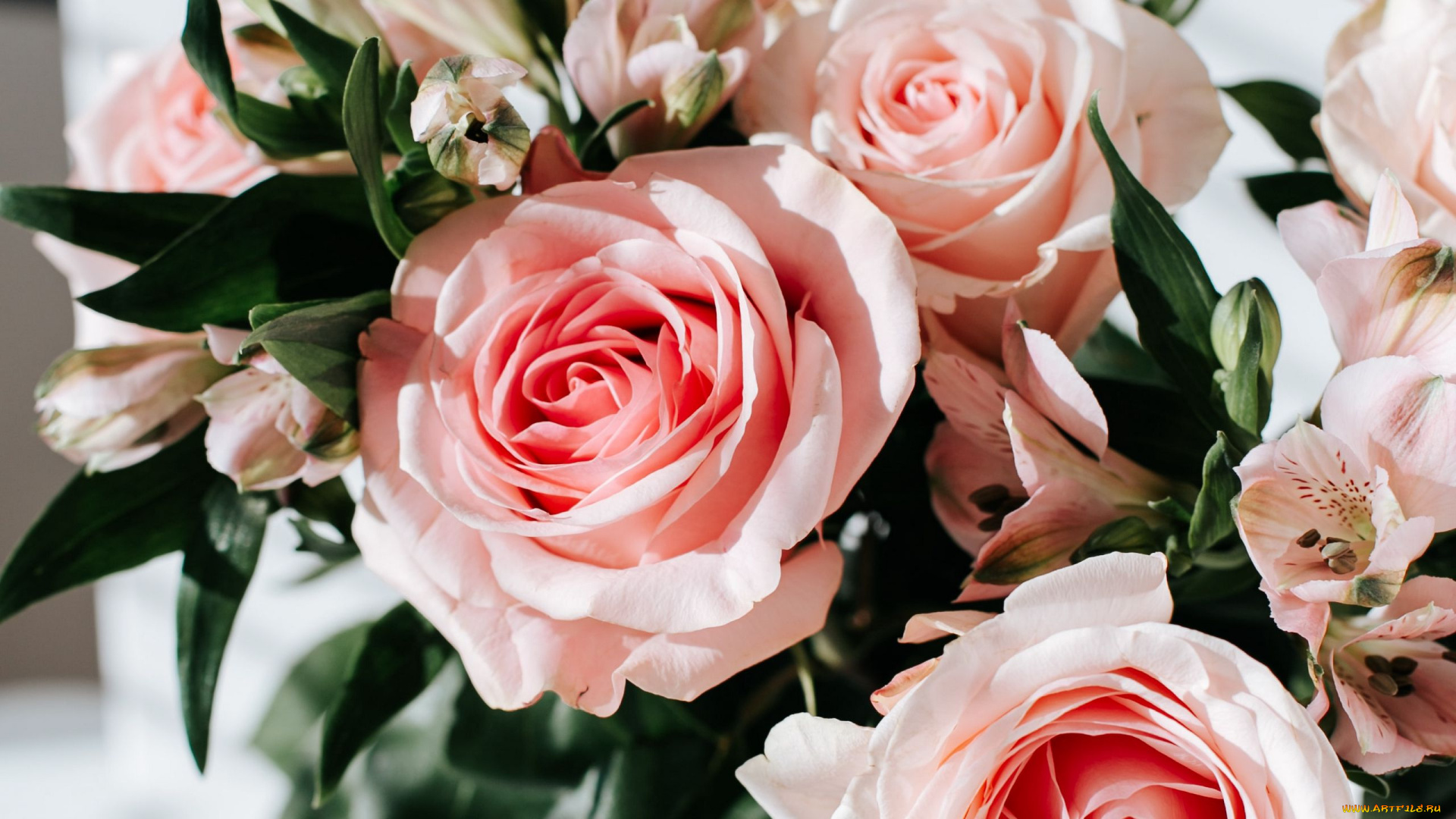 цветы, букеты, , композиции, альстромерия, розы