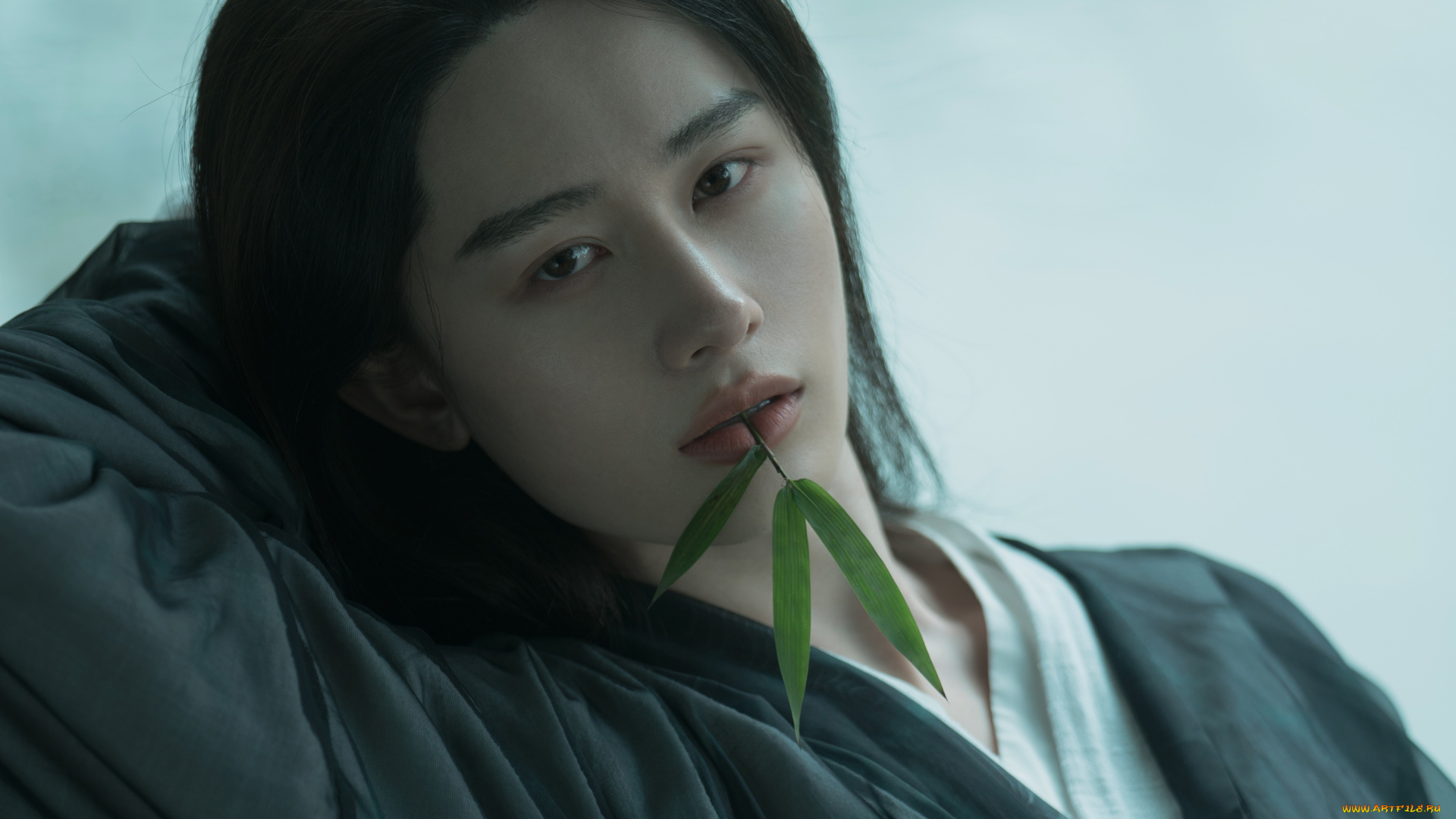 мужчины, tang, shihao, tang, shihao, тан, шиао