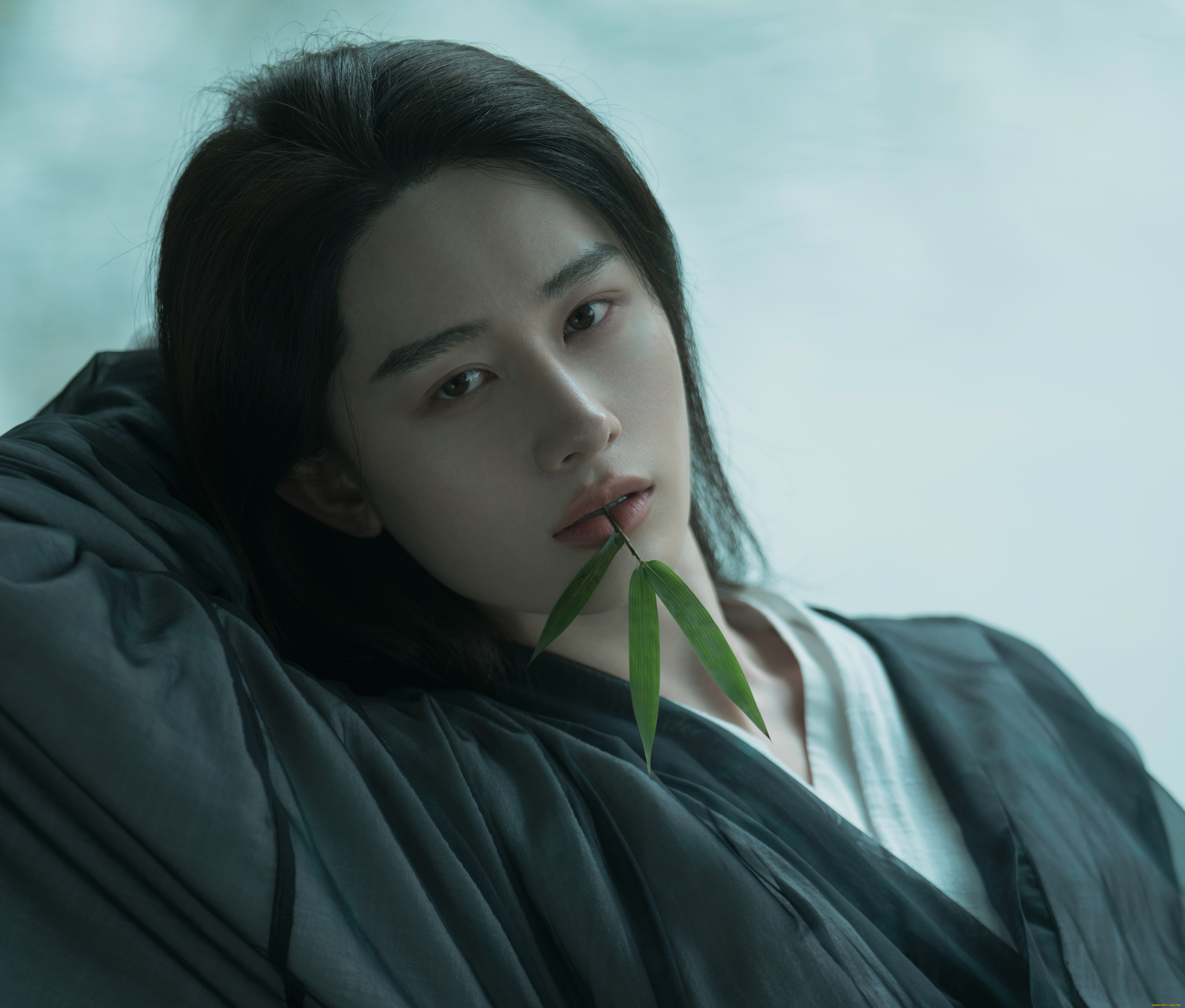 мужчины, tang, shihao, tang, shihao, тан, шиао