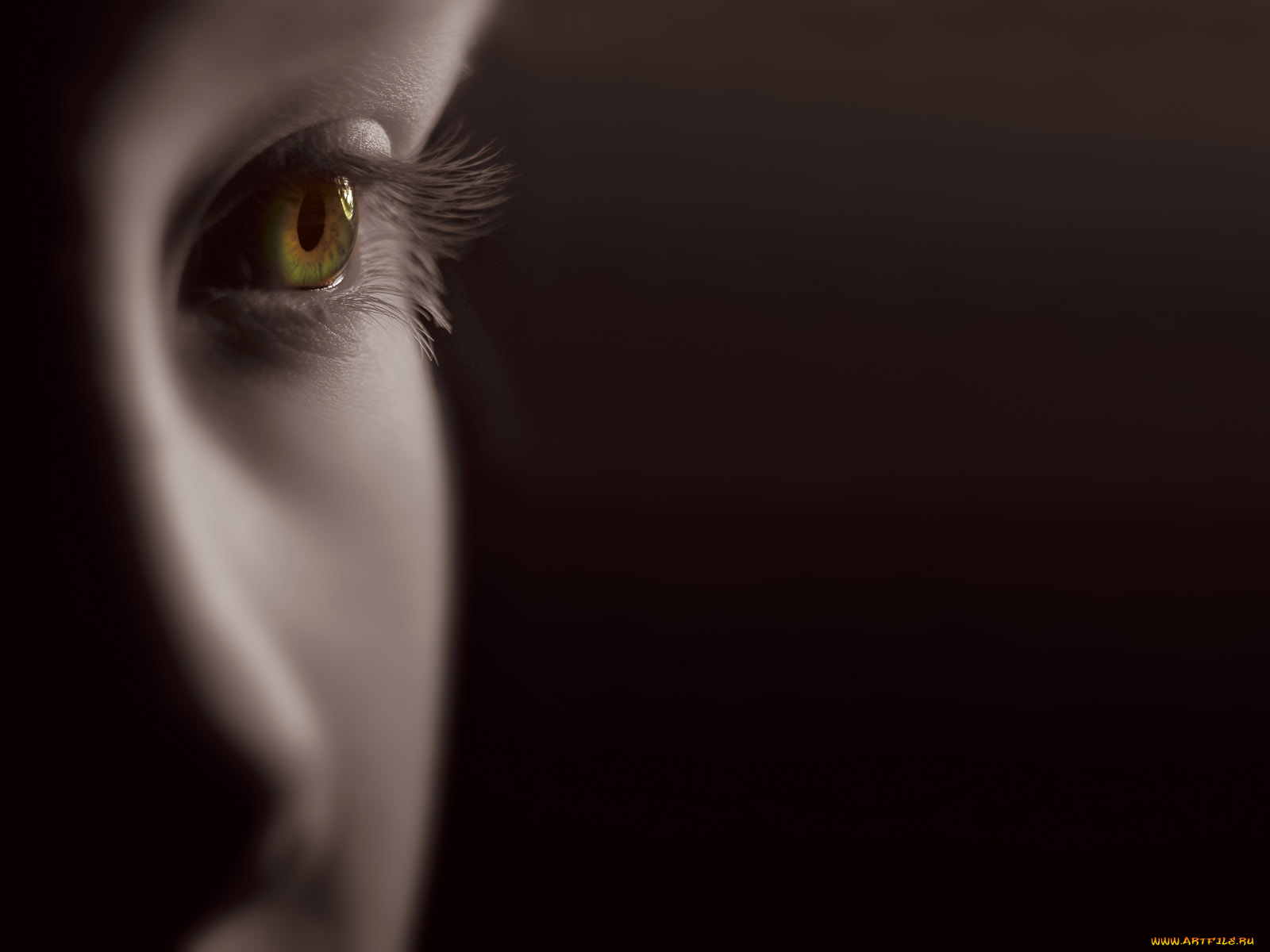 разное, глаза