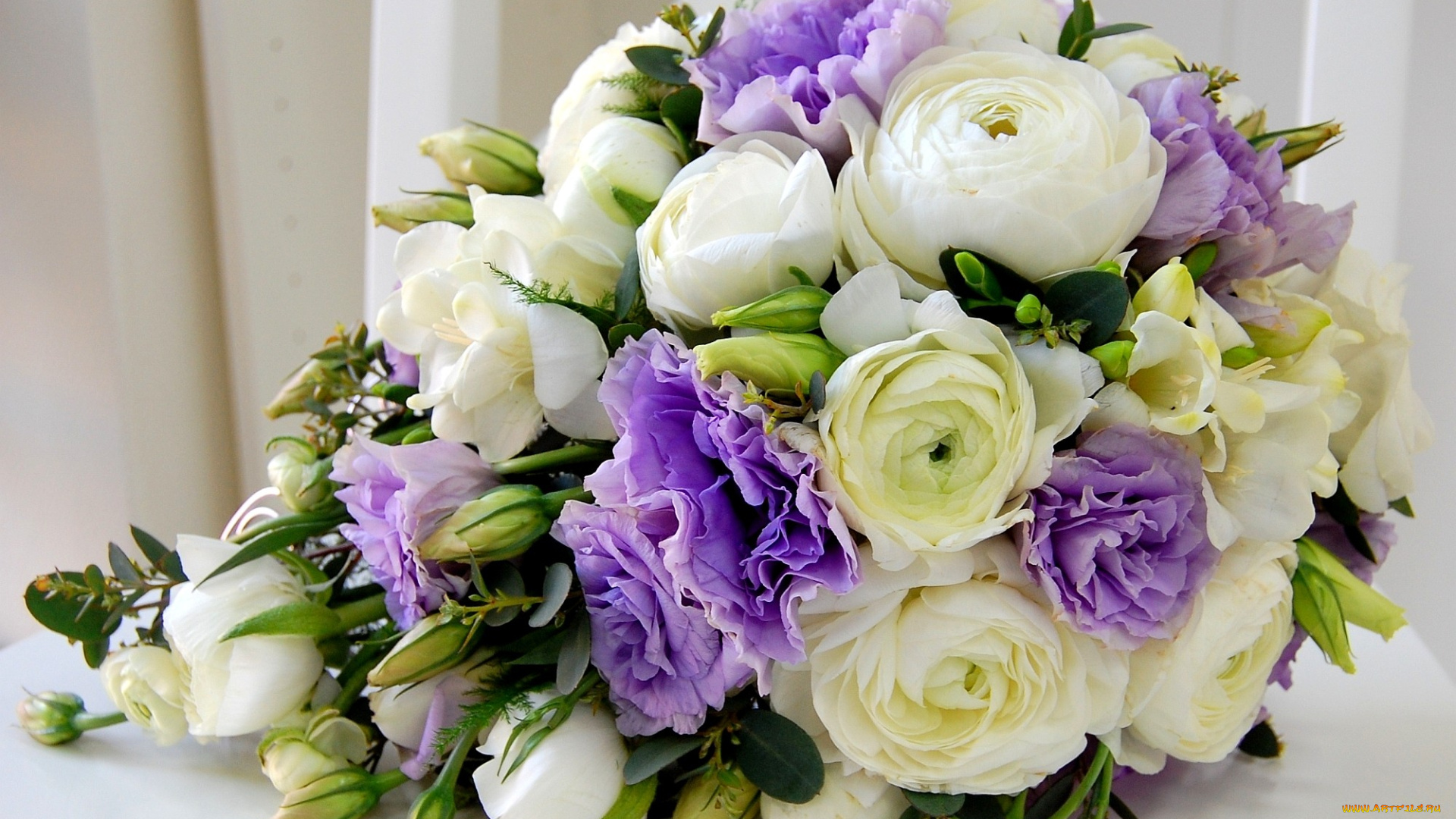 цветы, букеты, композиции, белый, ранункулюс, фиолетовый